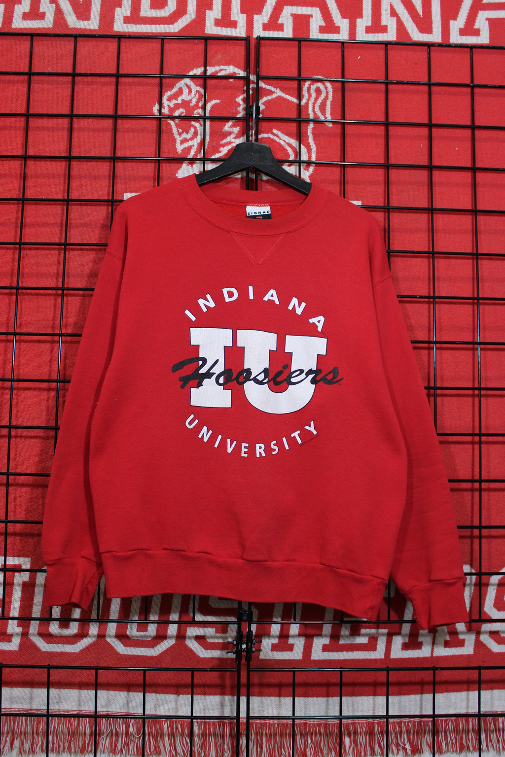 iu1026161a.jpg