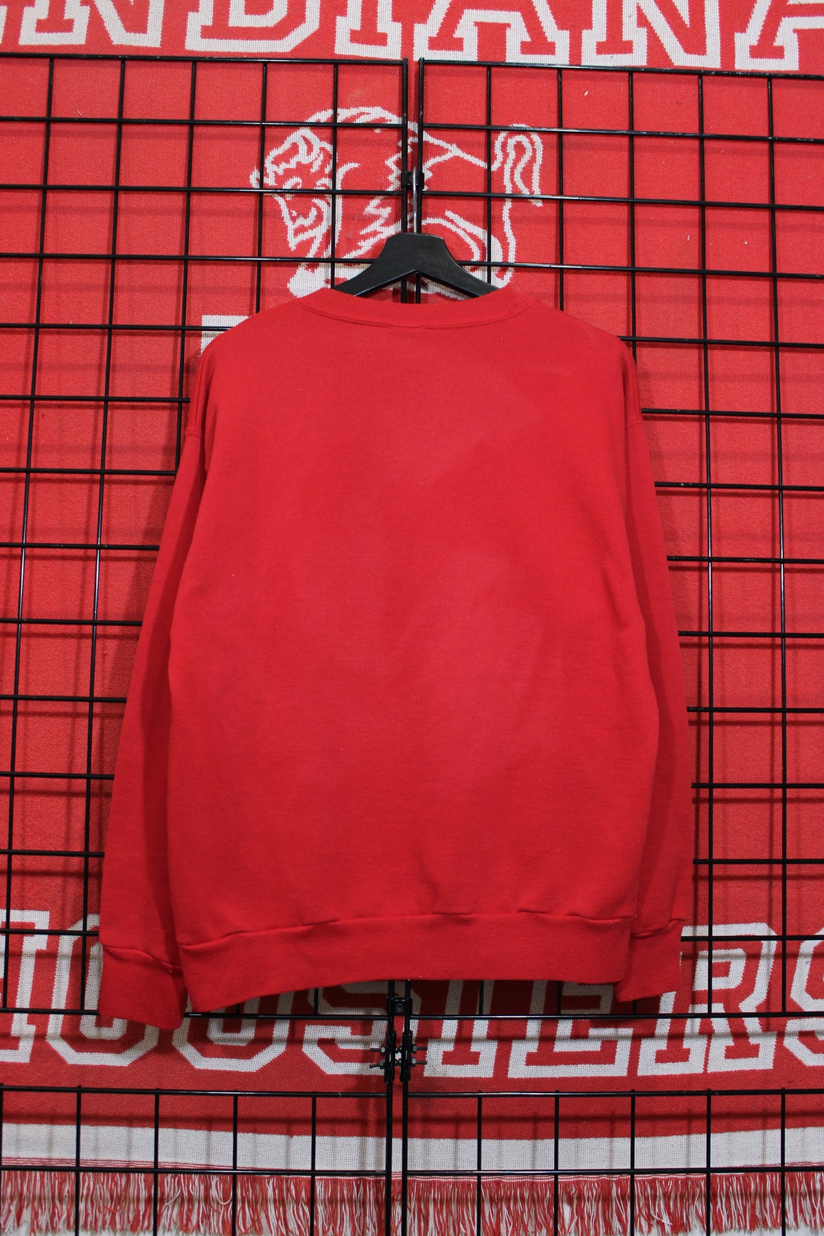 iu1026161b.jpg