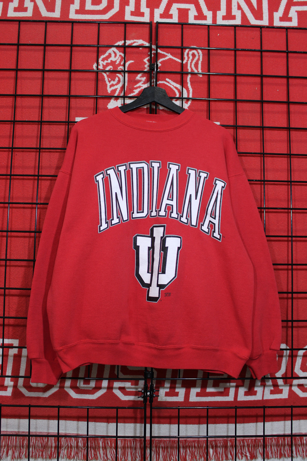 iu1026167a.jpg