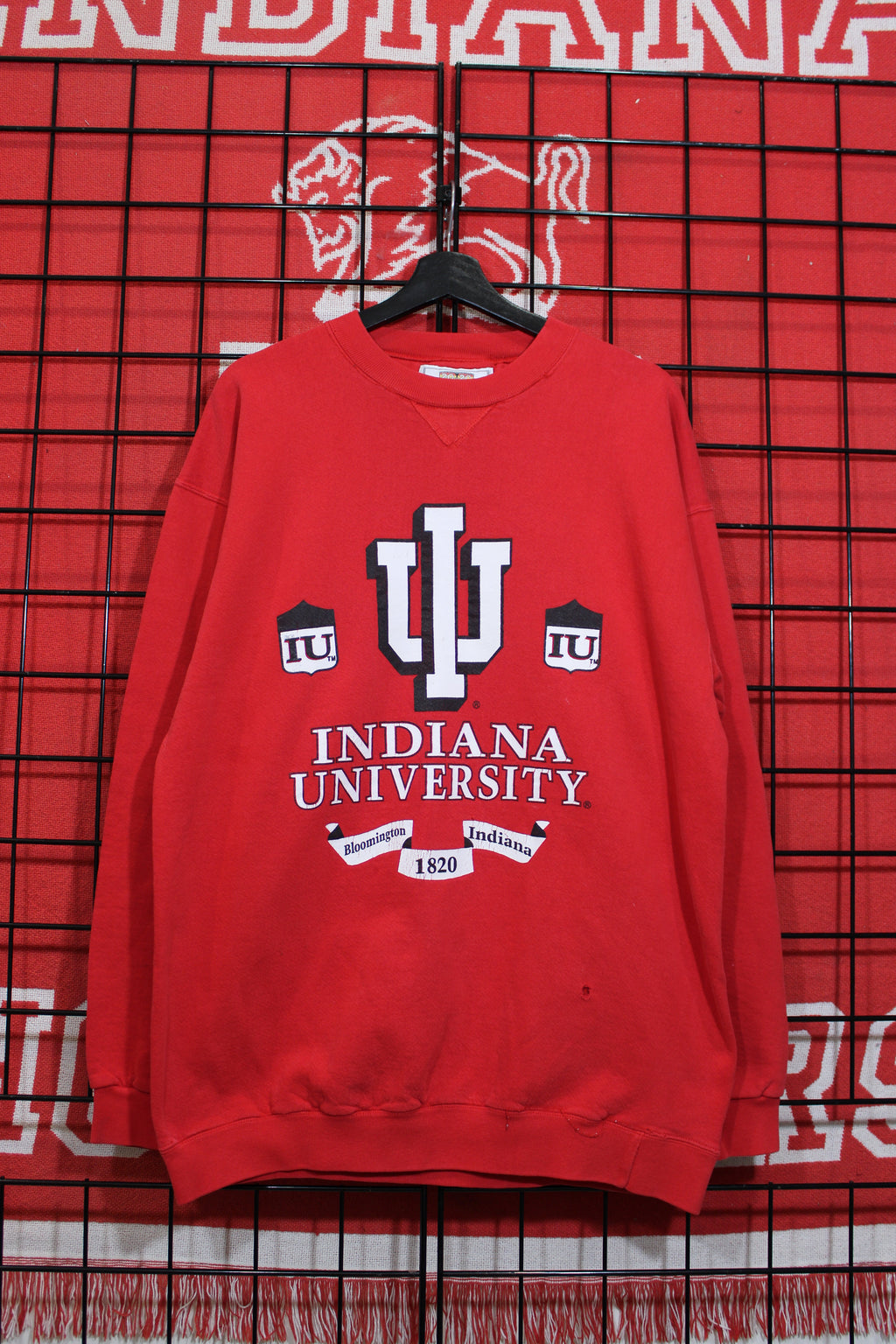 iu1026168a.jpg