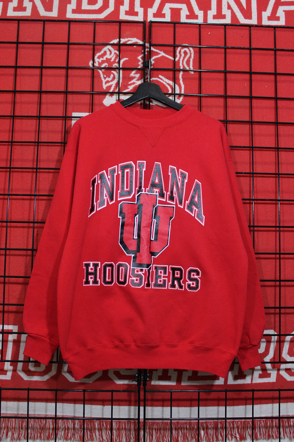 iu1026169a.jpg