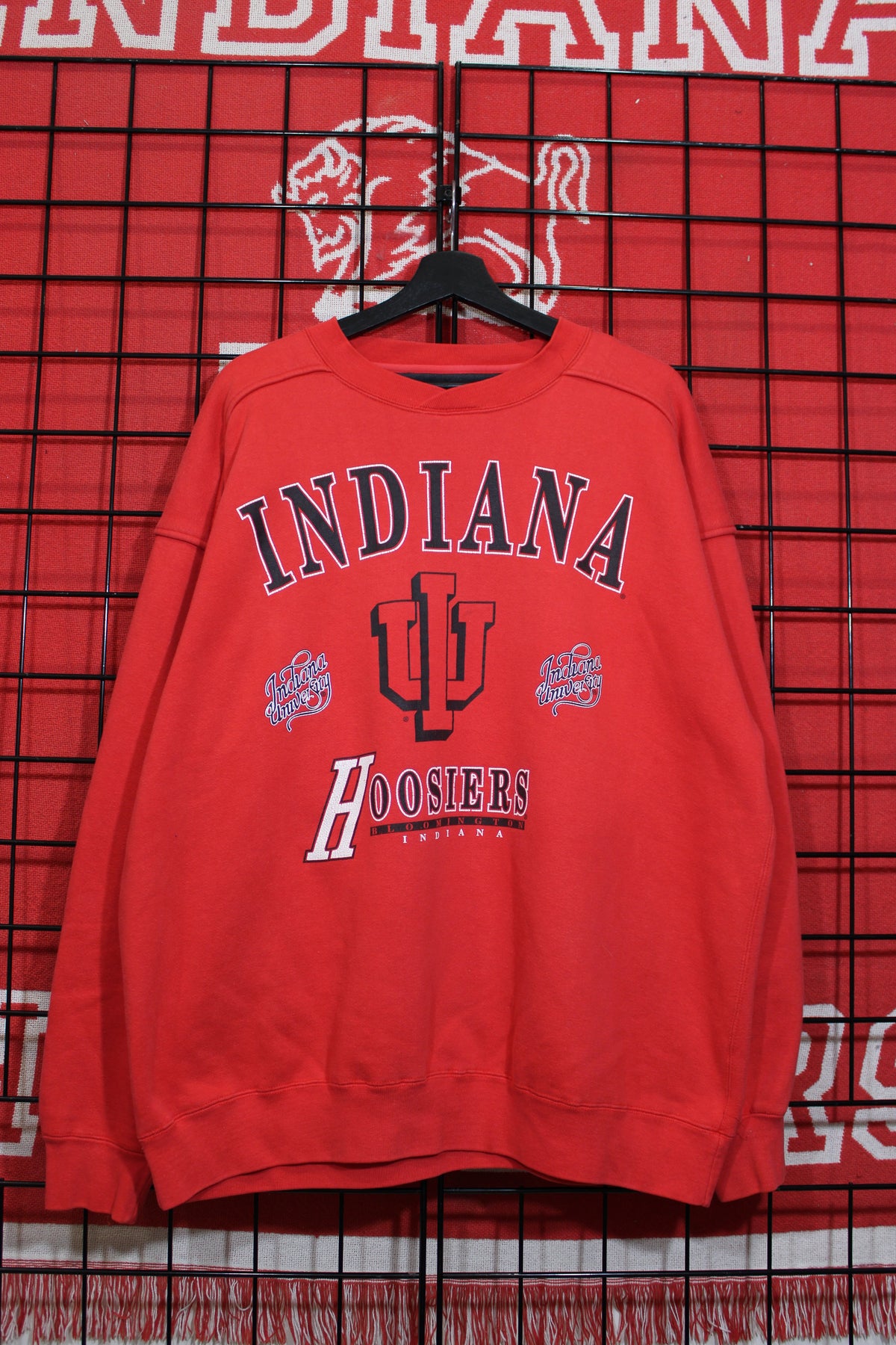 iu1026171a.jpg