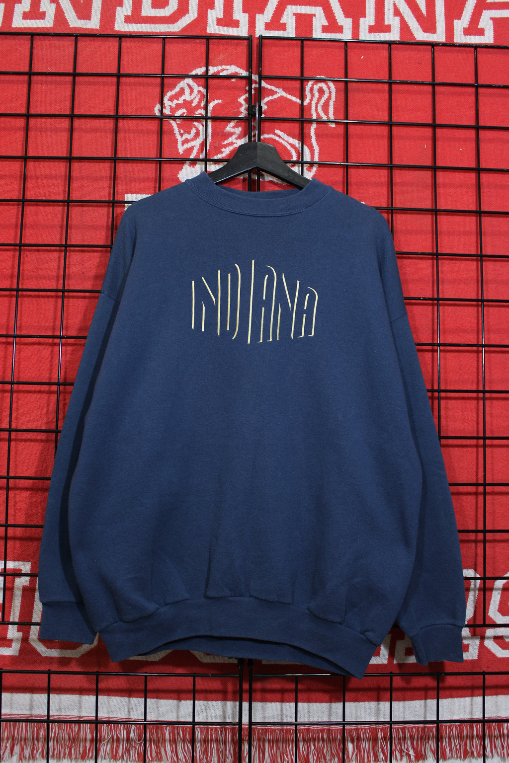 iu1026175a.jpg