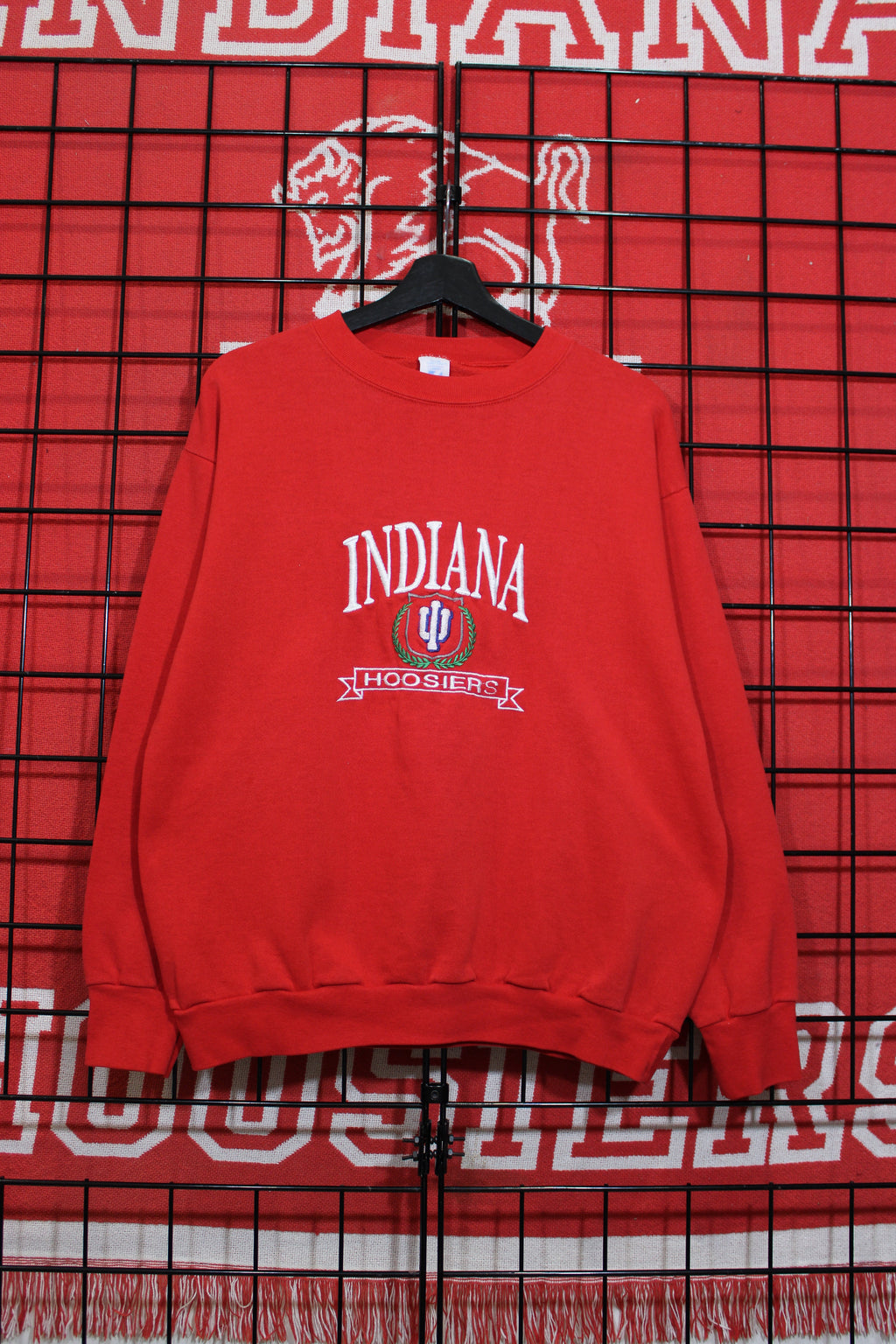 iu1026181a.jpg