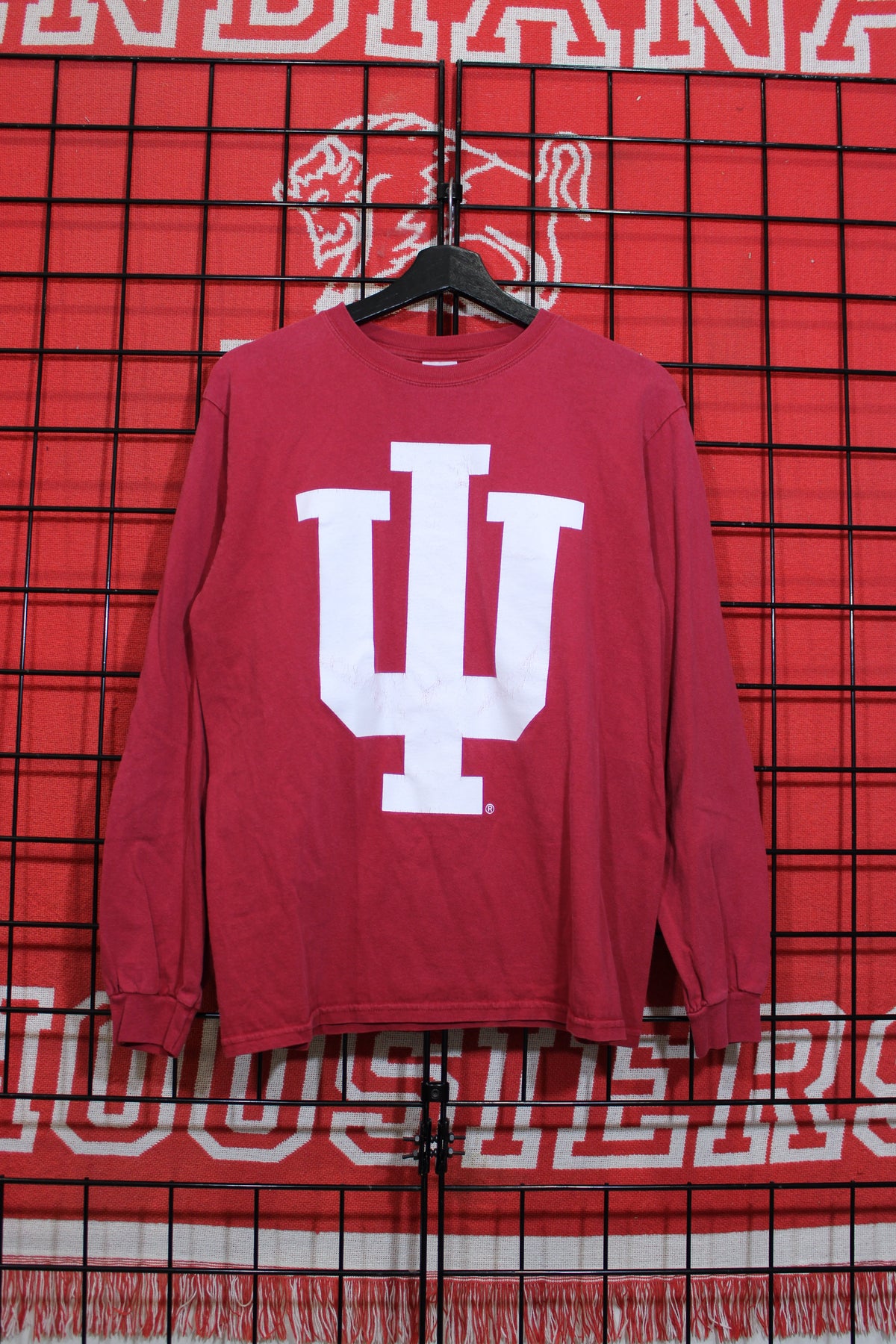 iu1026193a.jpg