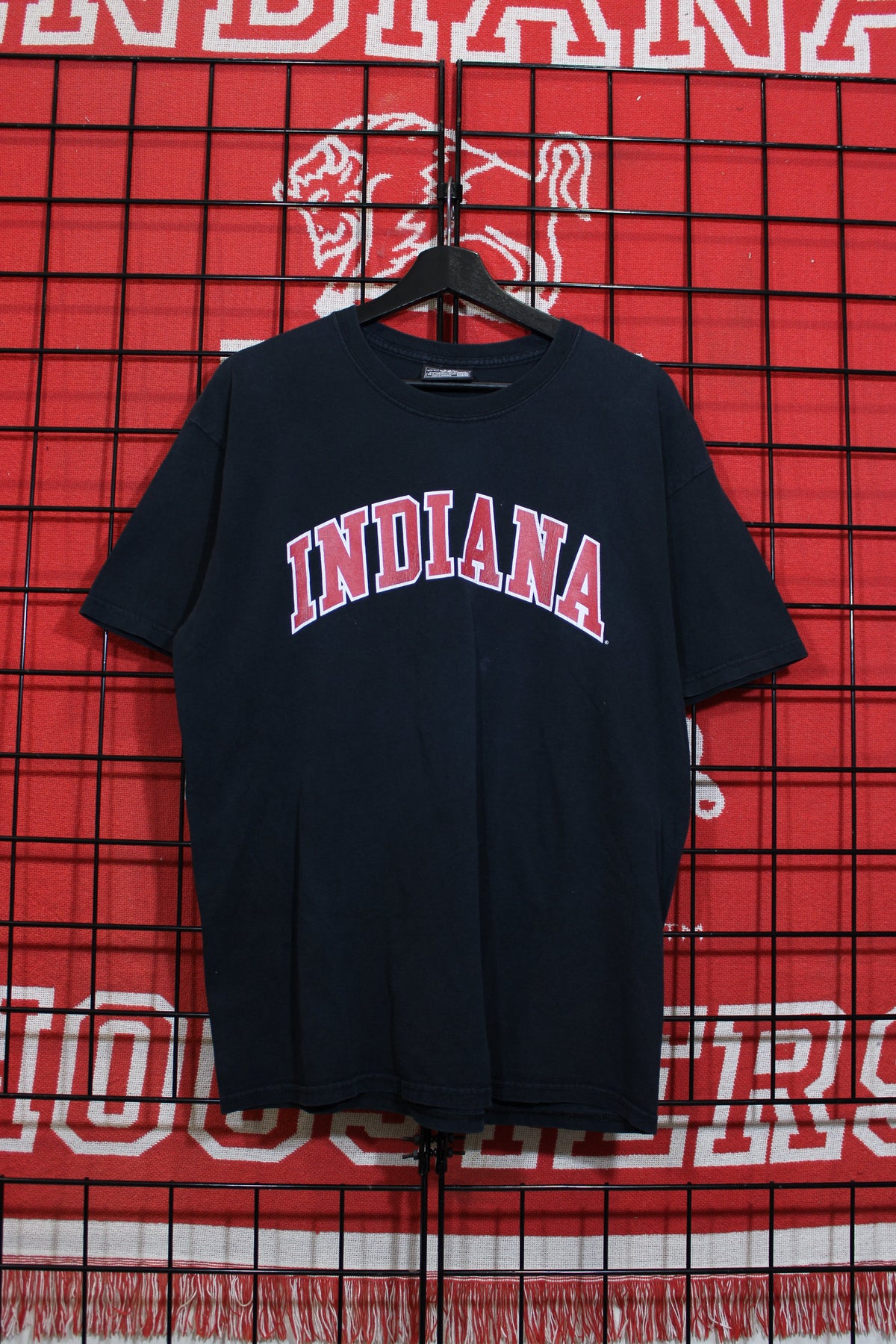 iu1026195a.jpg