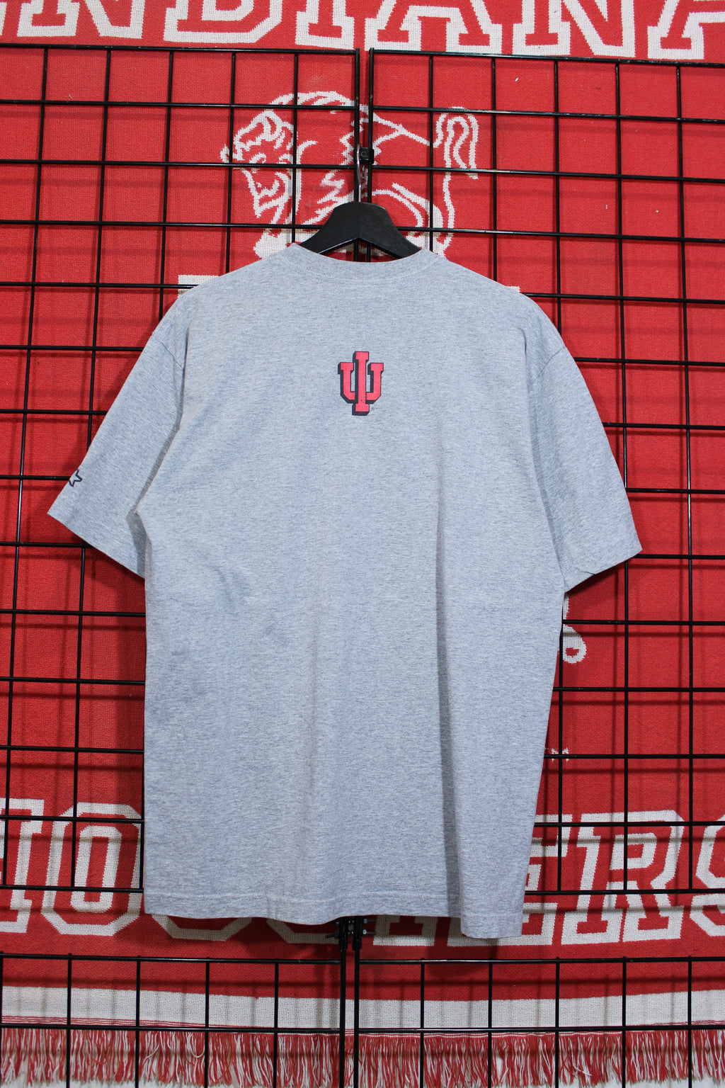 iu1026199b.jpg