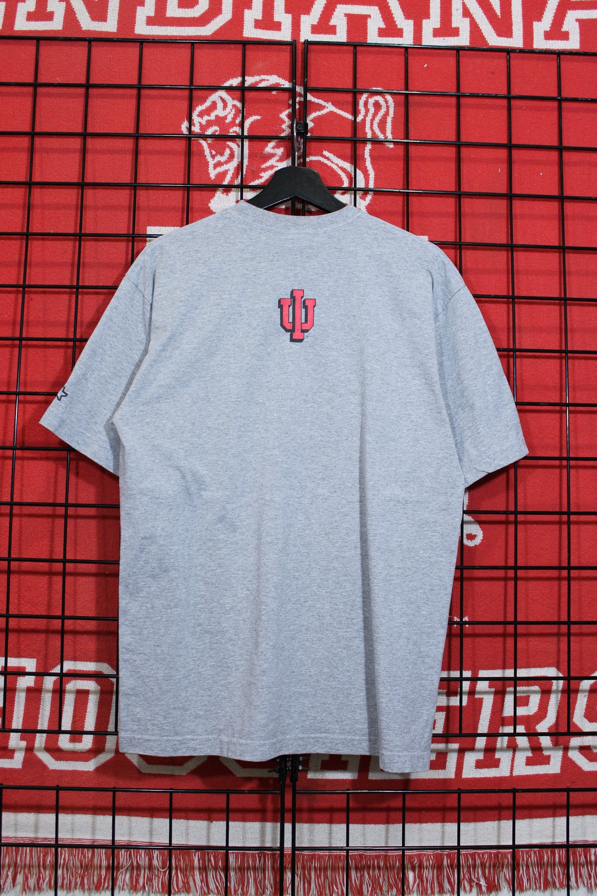 iu1026199b.jpg