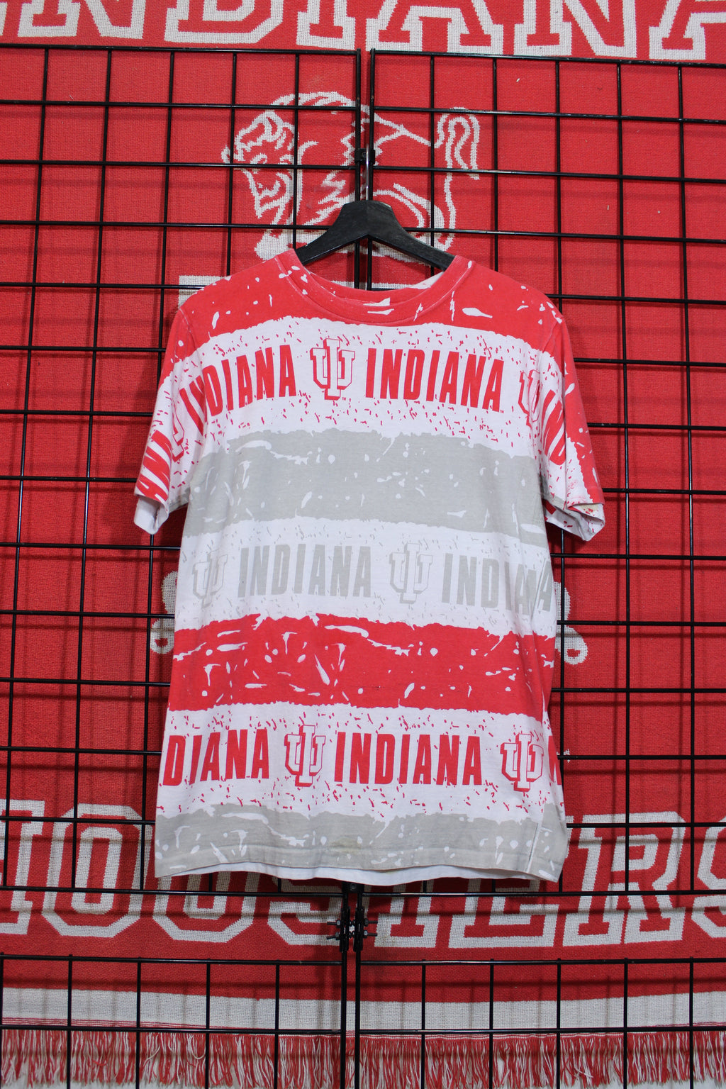iu1026217a.jpg