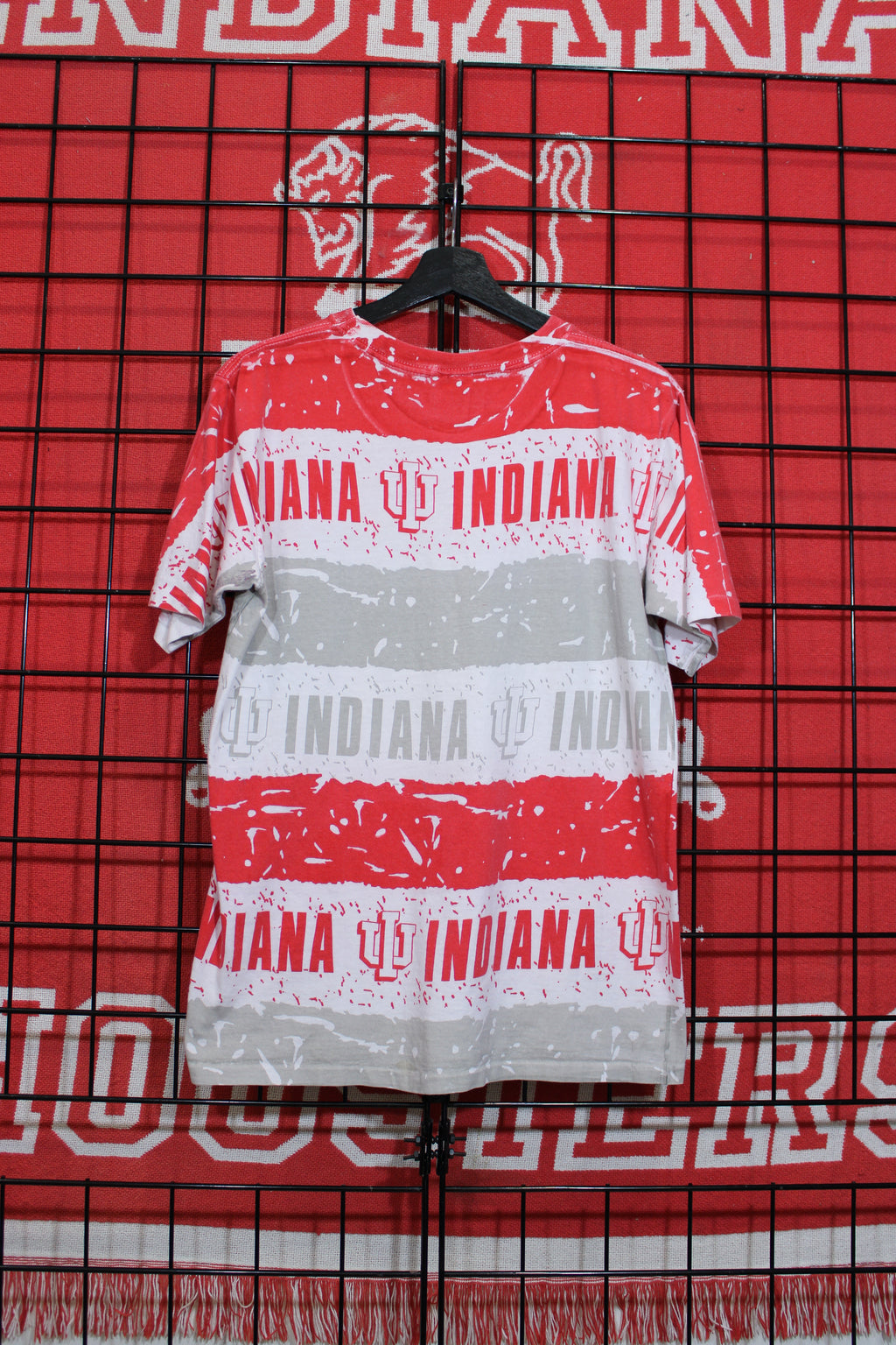 iu1026217b.jpg