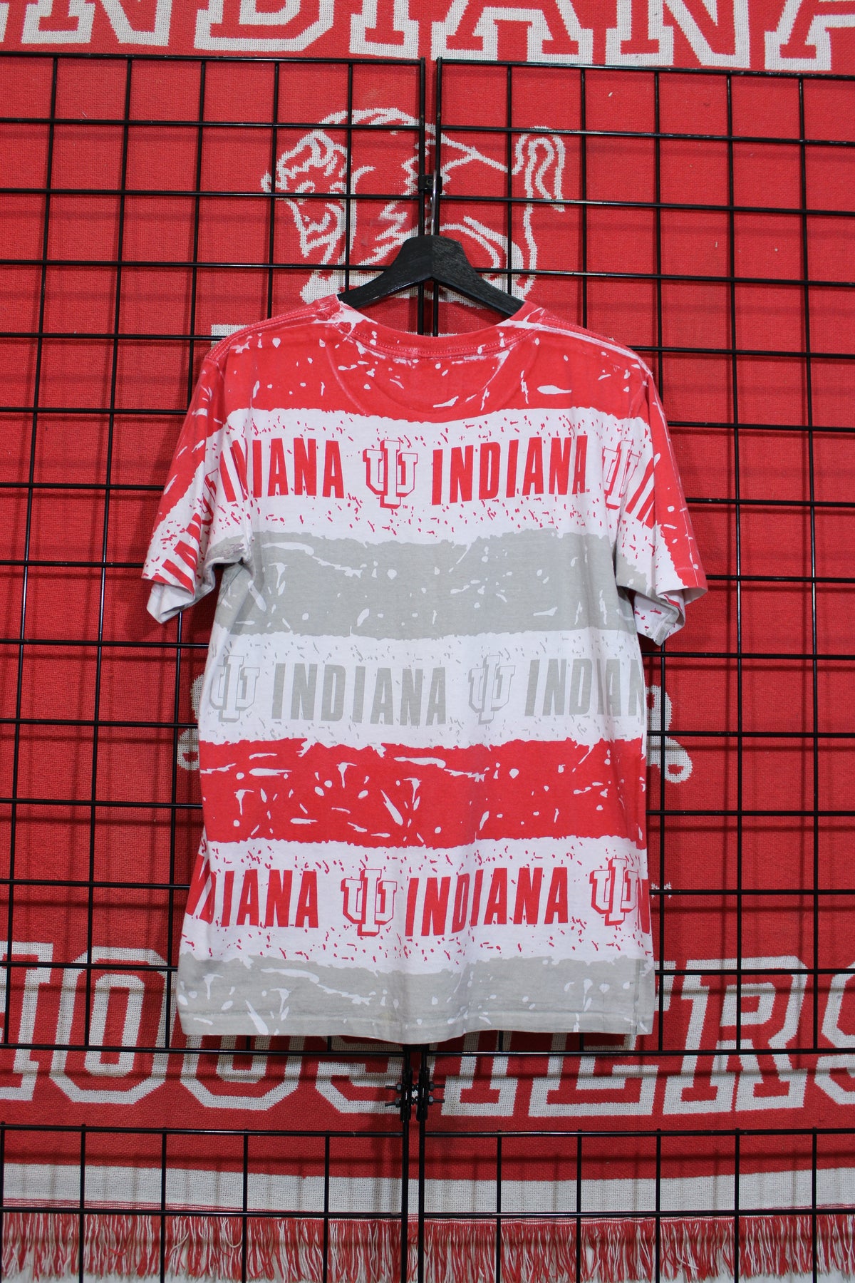iu1026217b.jpg