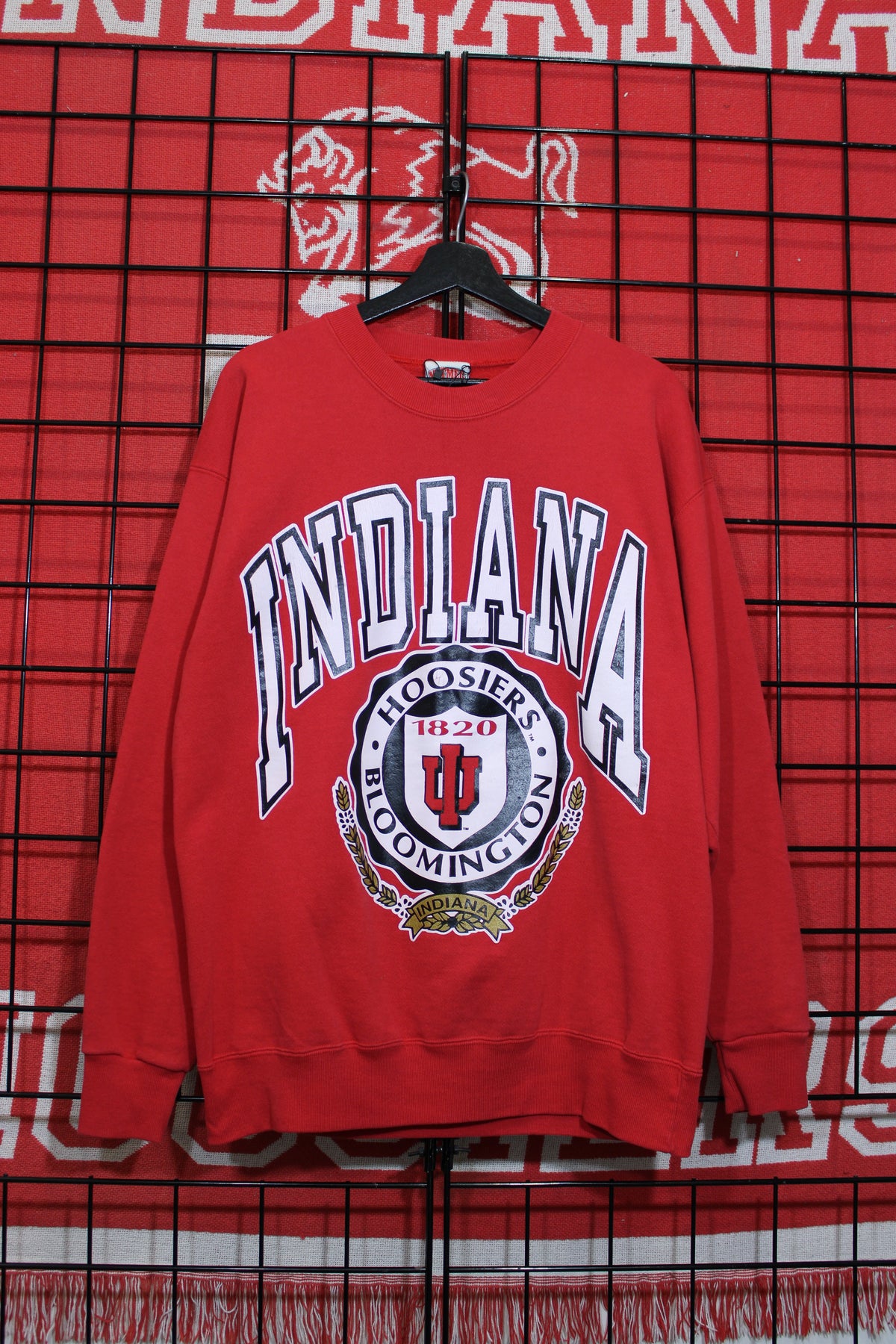 iu1026231a.jpg