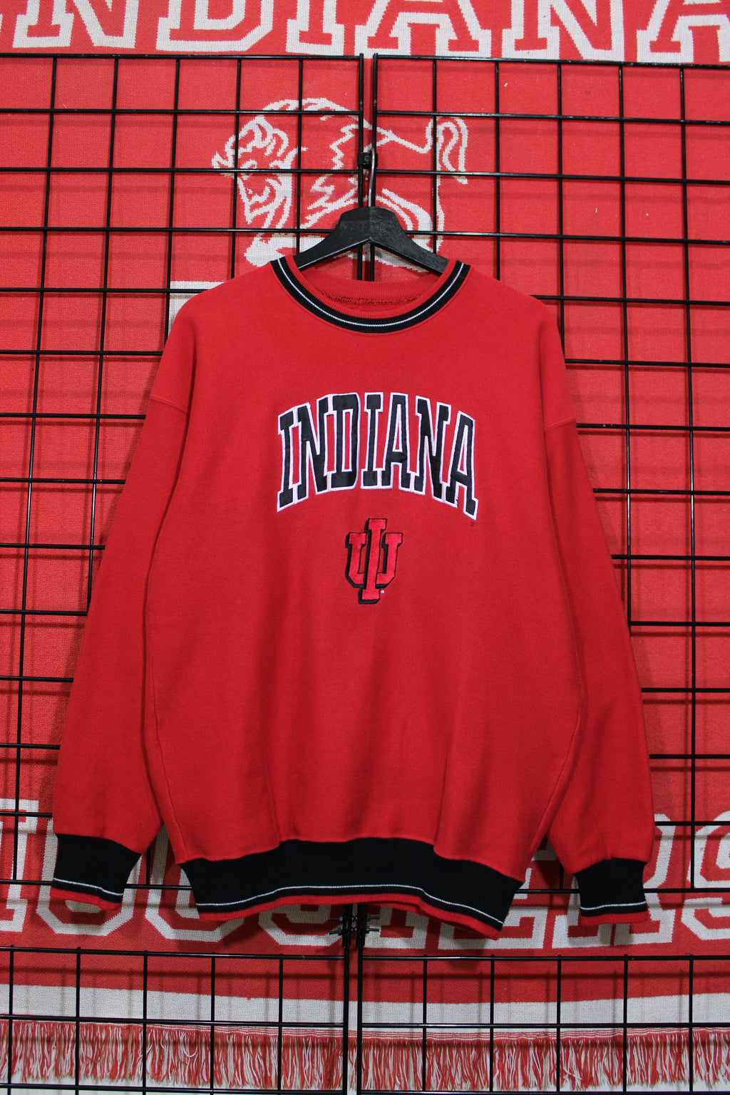 iu1026233a.jpg