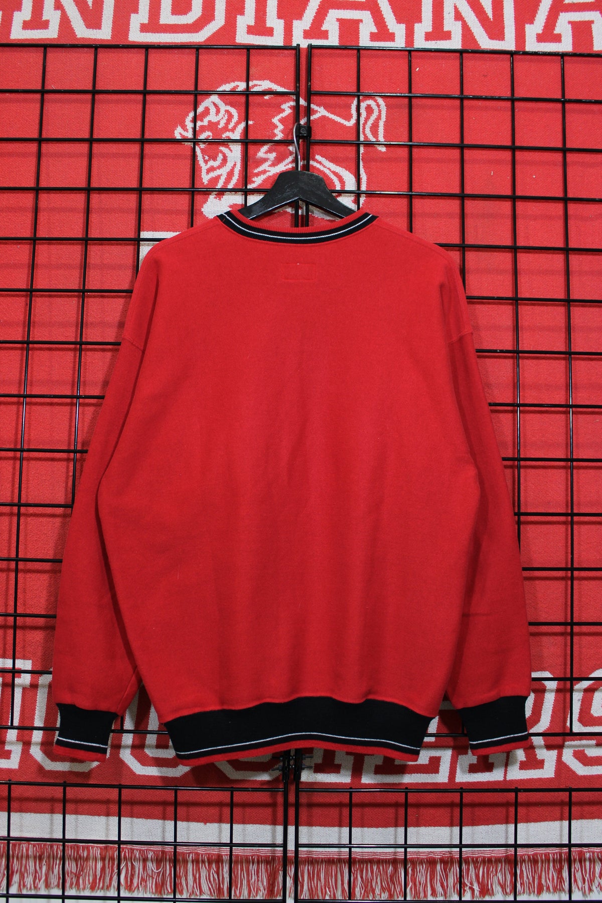 iu1026233b.jpg