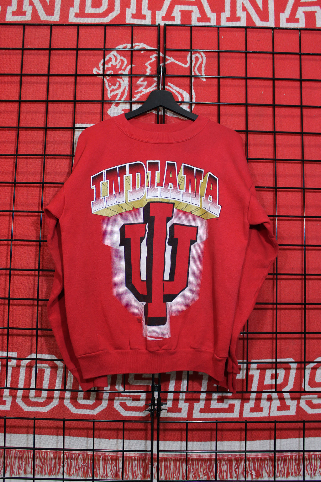 iu1026237a.jpg