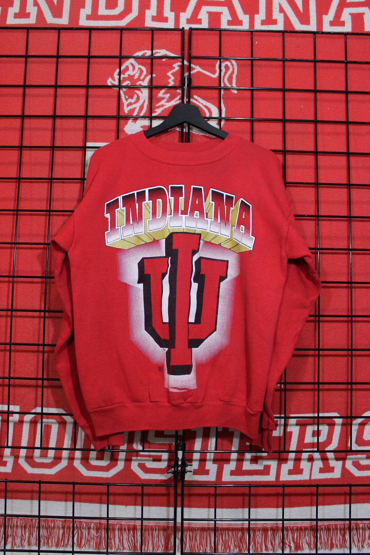 iu1026237a.jpg