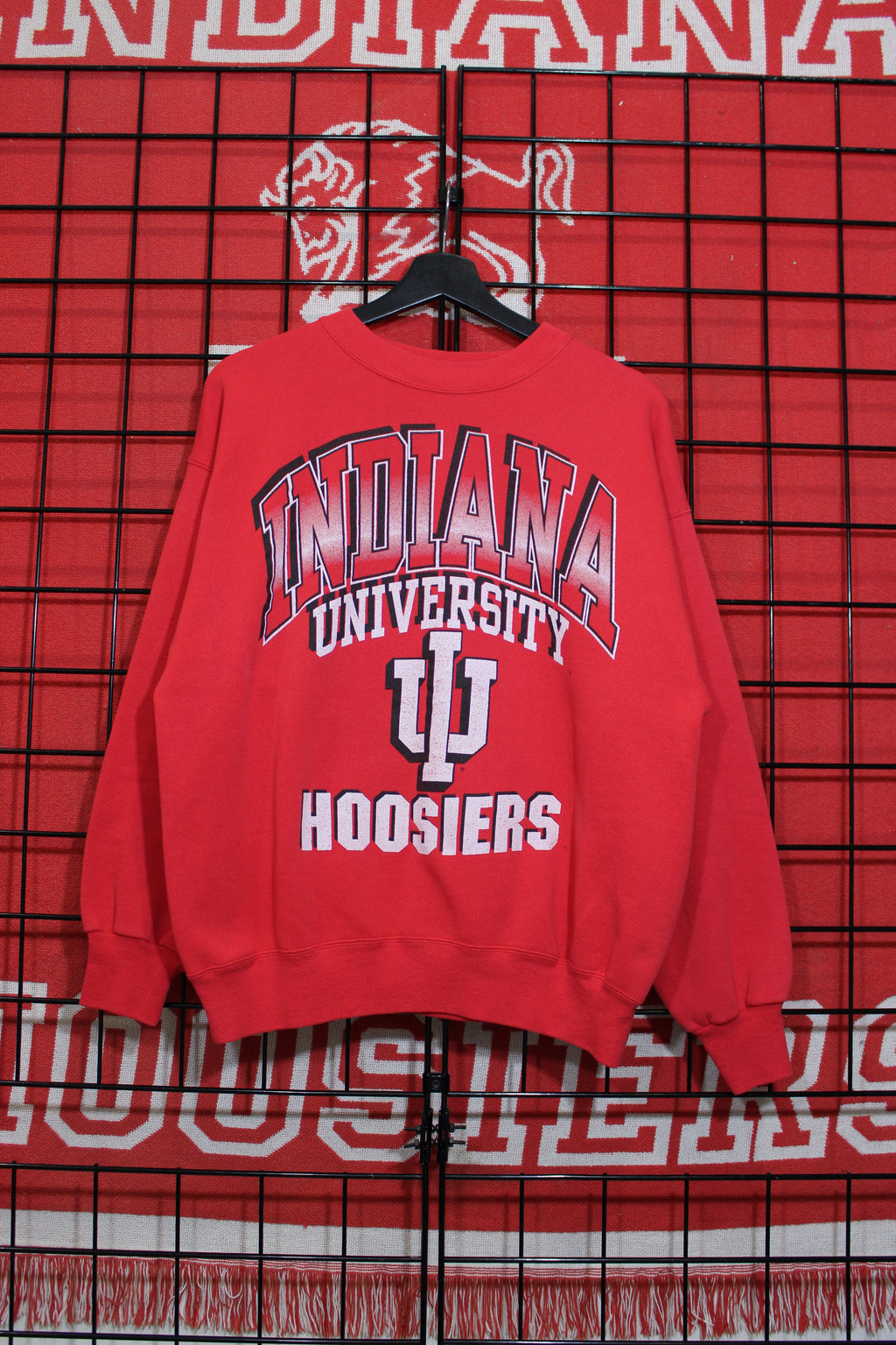 iu1026238a.jpg