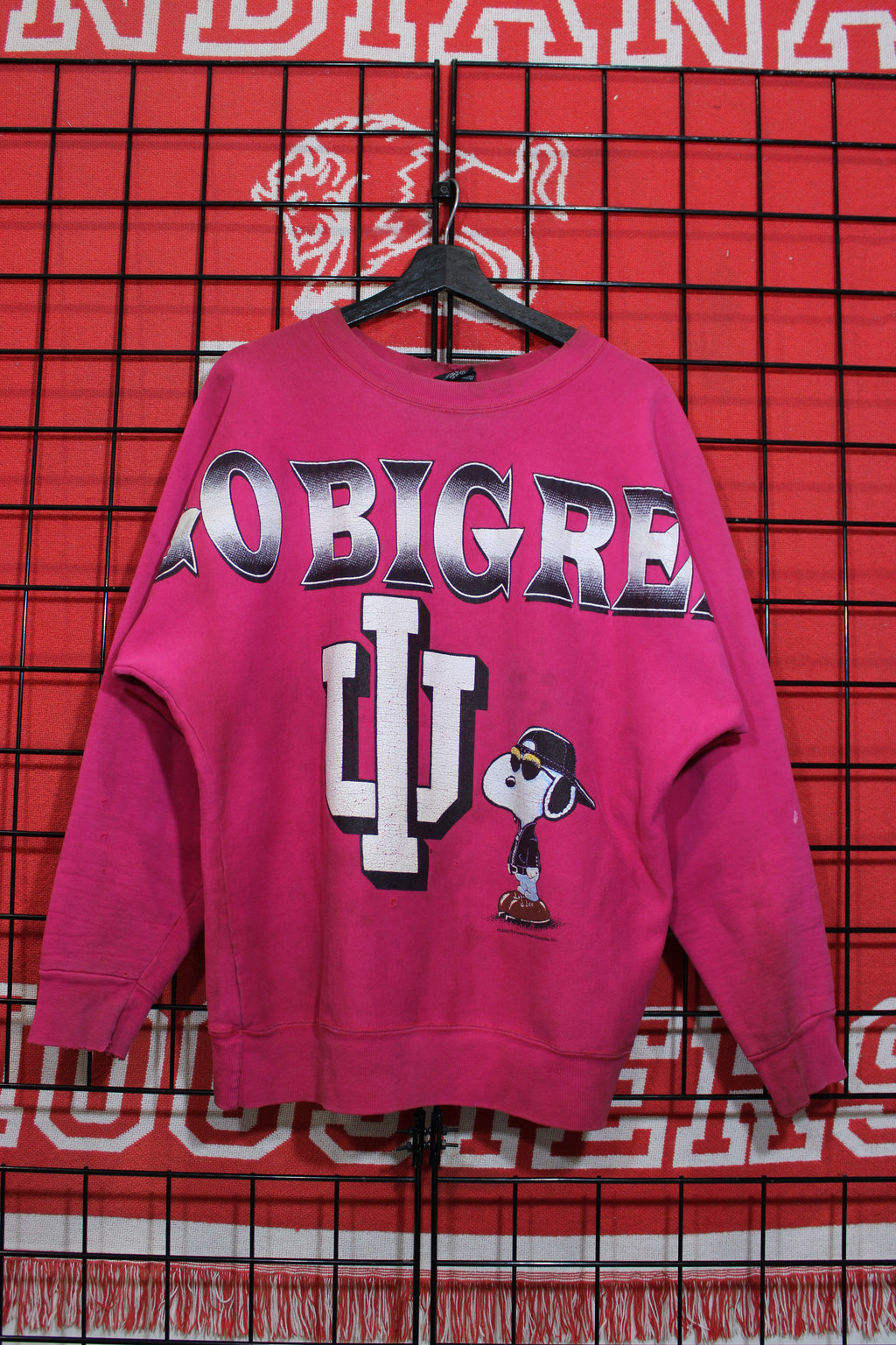 iu1026241a.jpg
