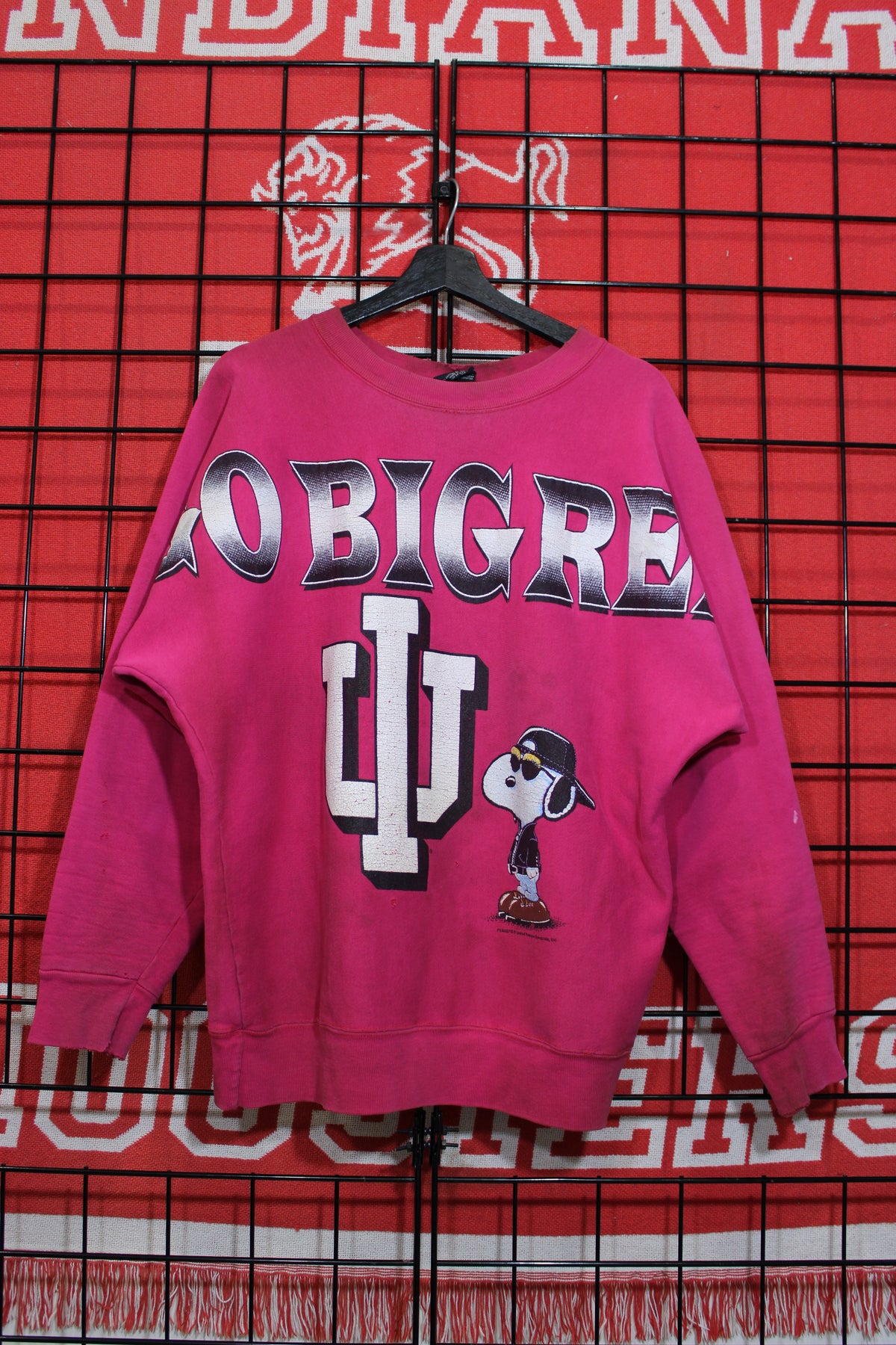 iu1026241a.jpg
