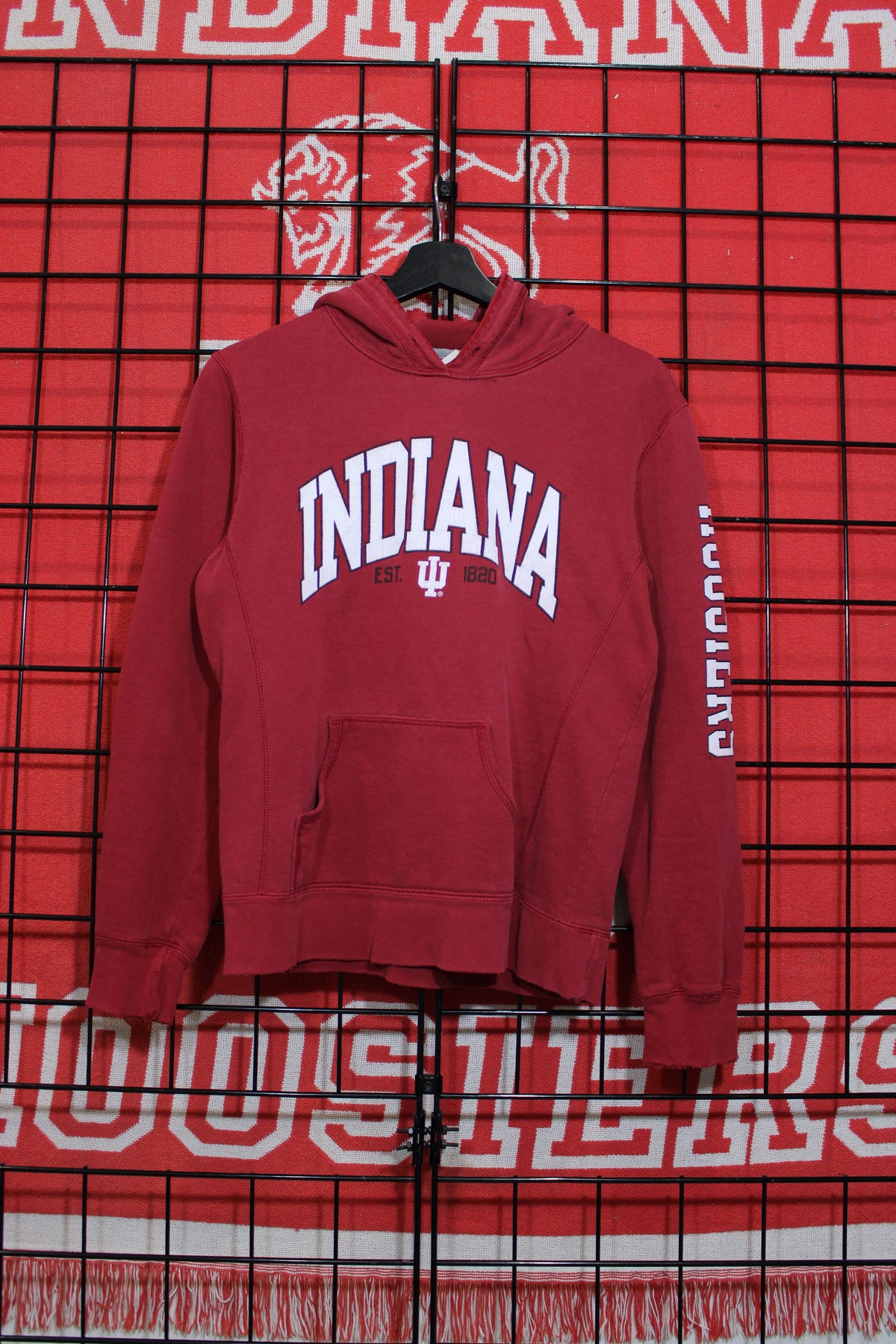 iu1026257a.jpg