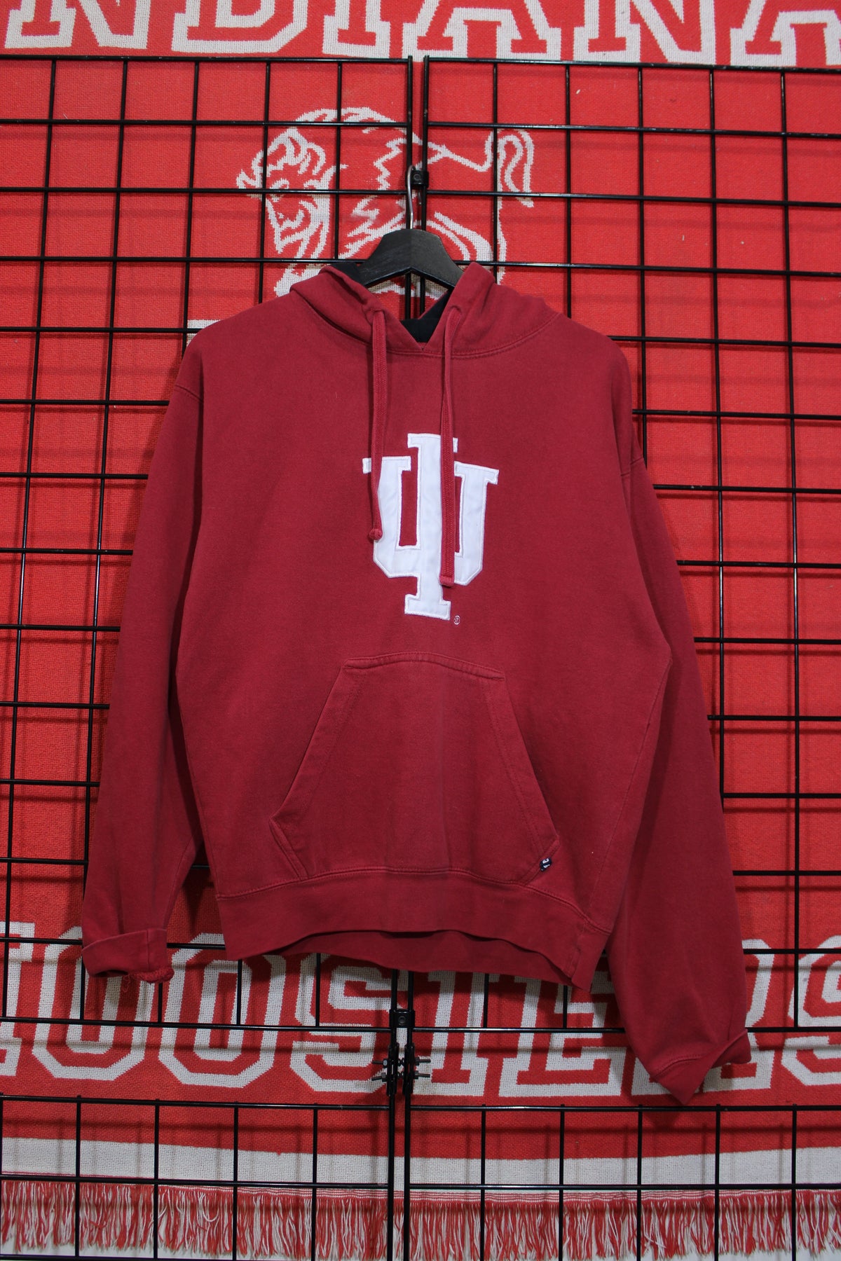 iu1026263a.jpg