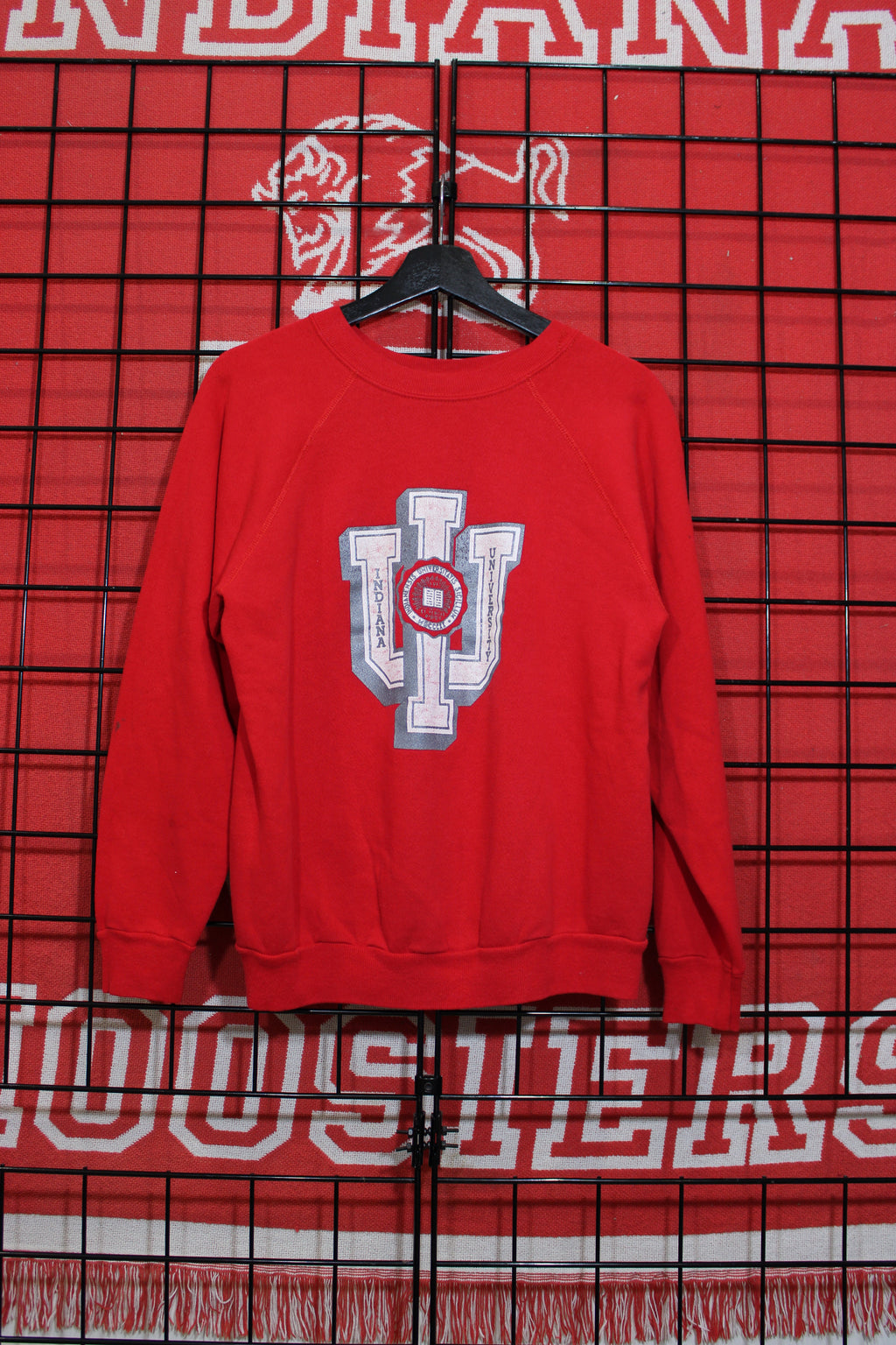 iu1026267a.jpg