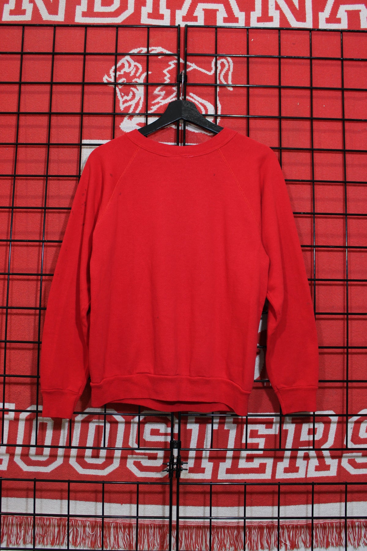 iu1026267b.jpg