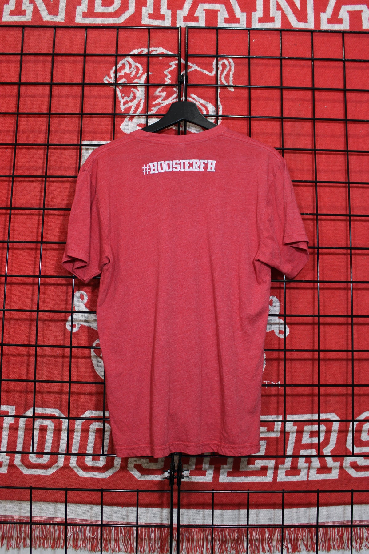 iu1026273b.jpg