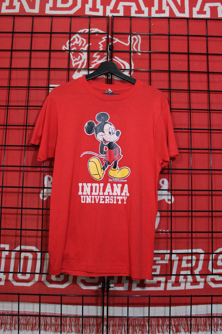 iu1026277a.jpg
