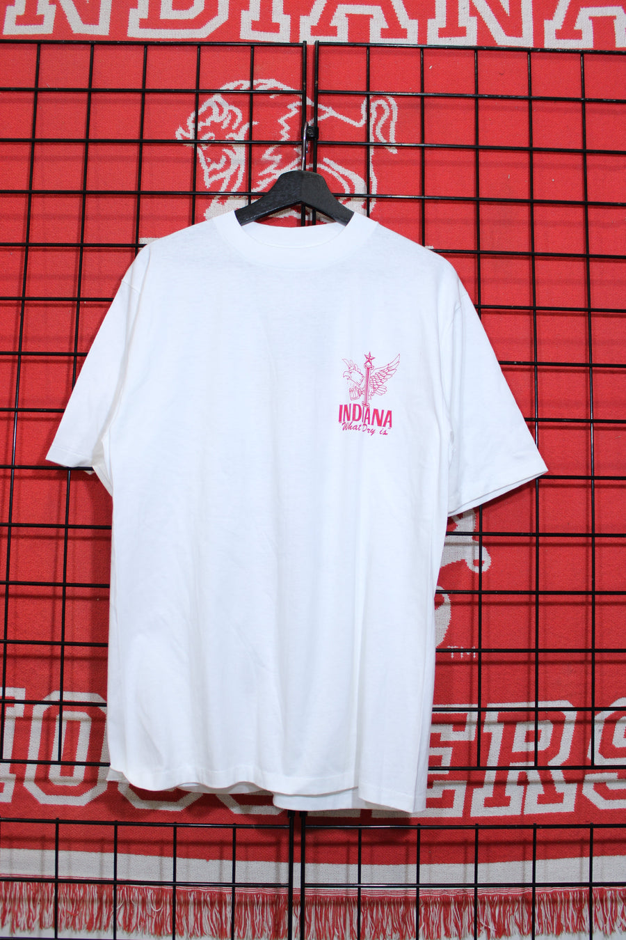 iu1026279a.jpg