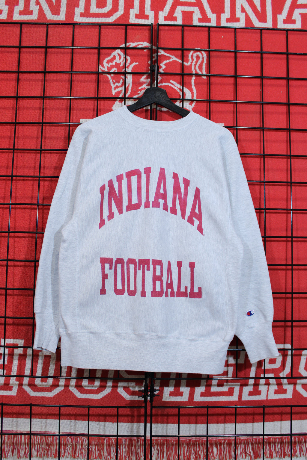 iu1026283a.jpg