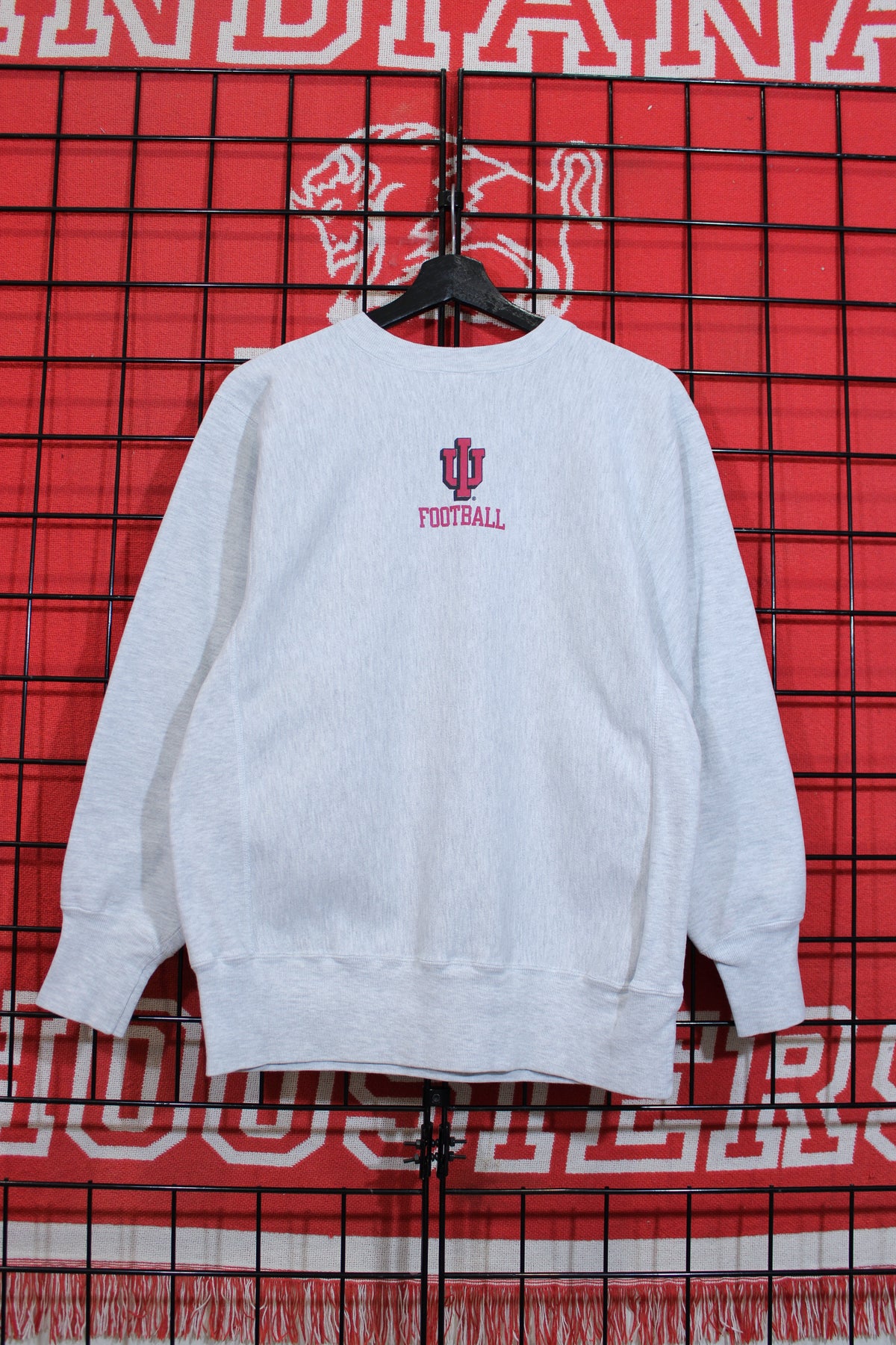iu1026283b.jpg