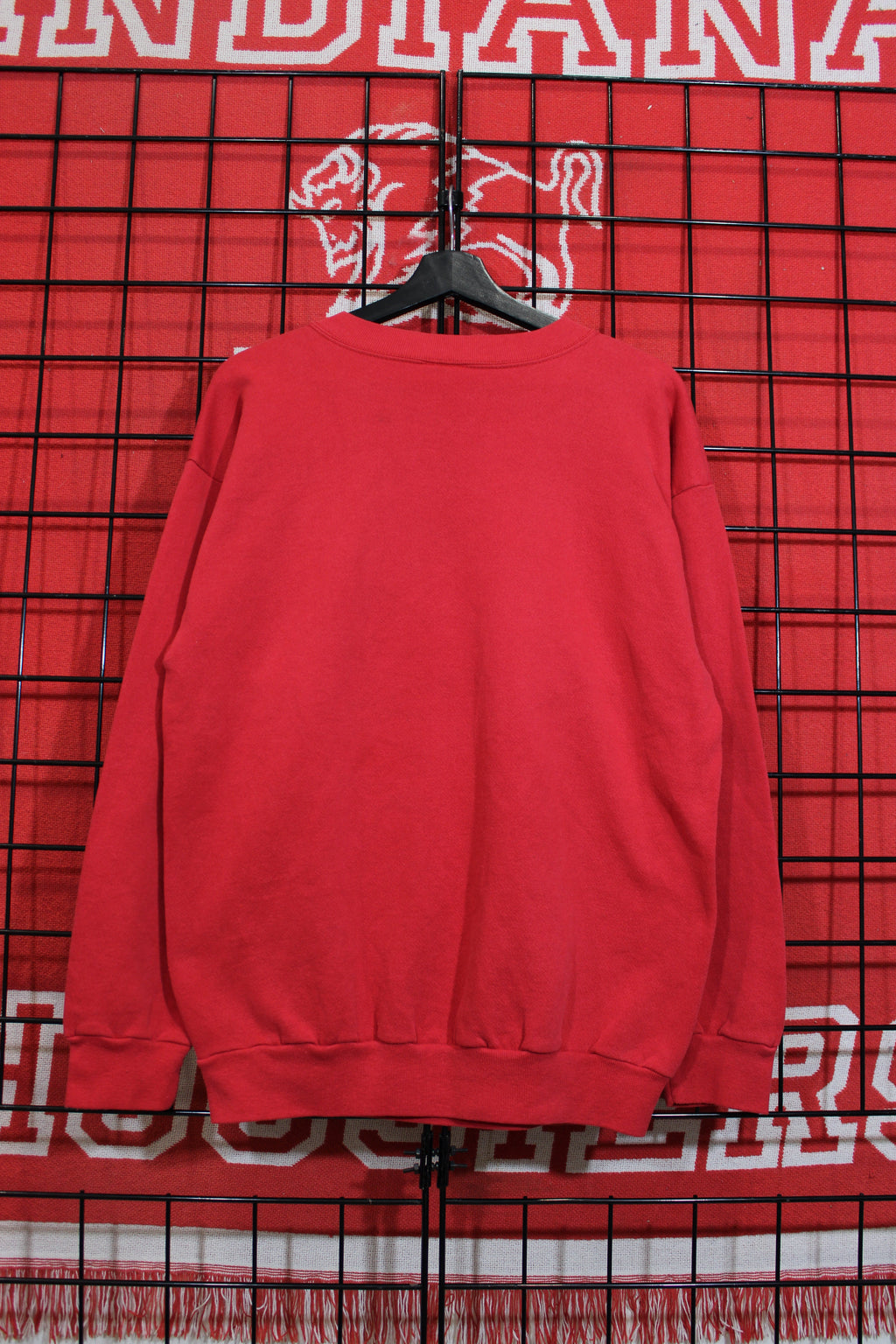 iu1026291b.jpg