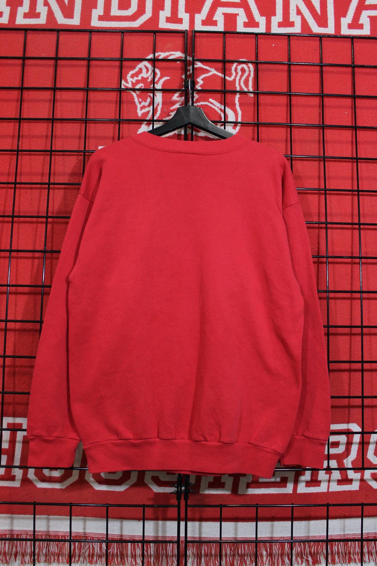 iu1026291b.jpg