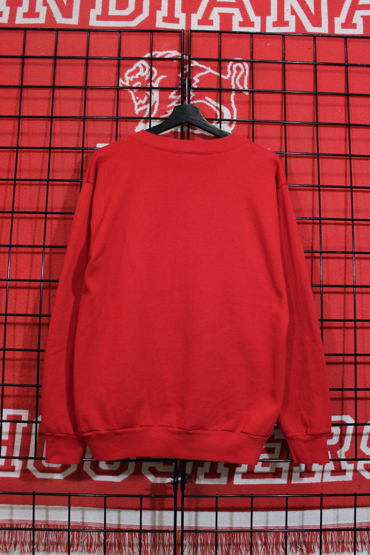 iu1026295b.jpg