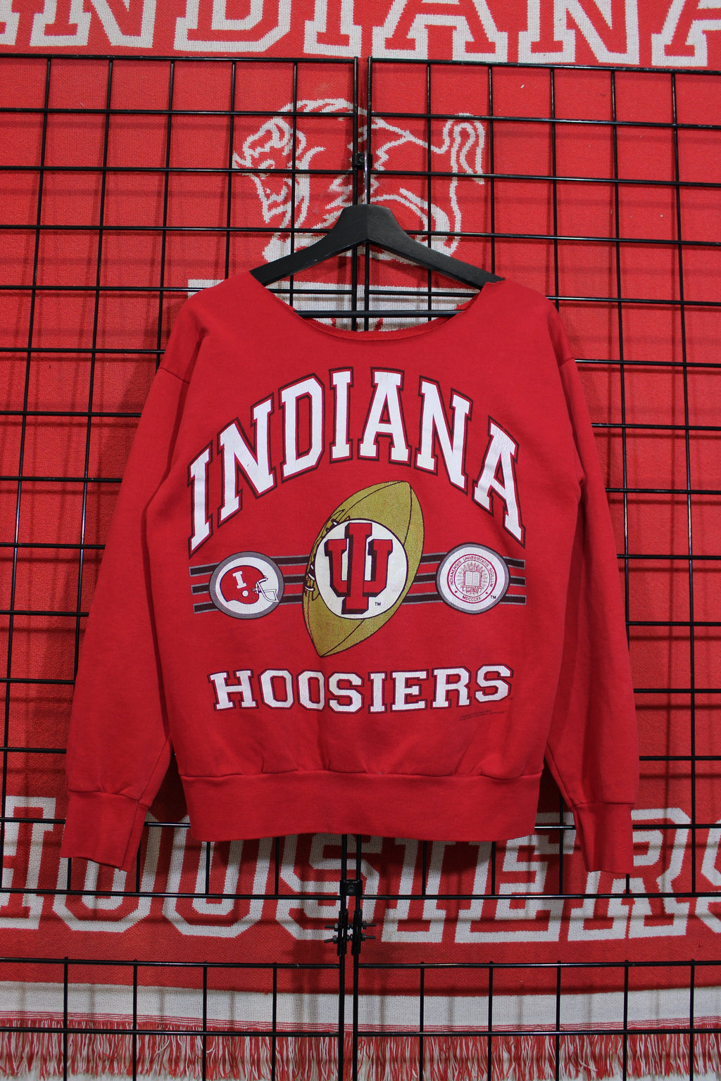 iu1026298a.jpg