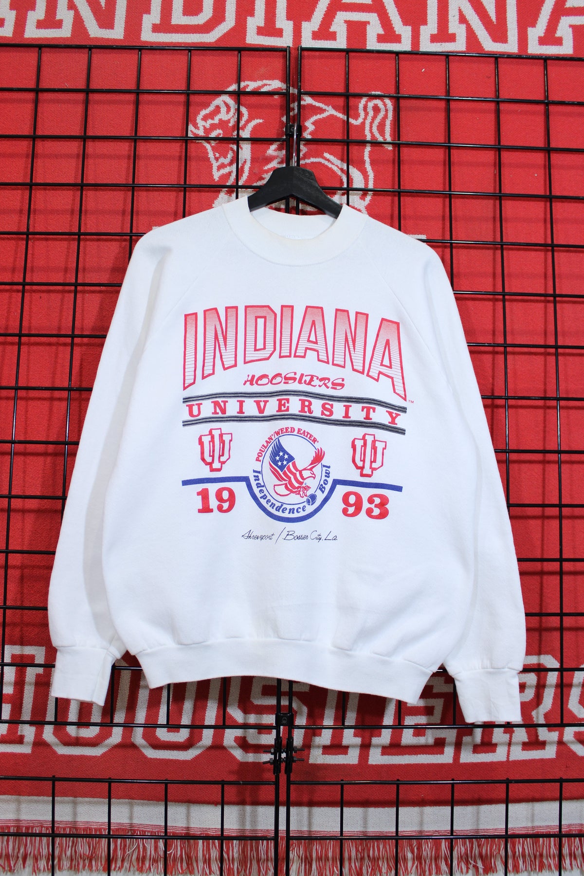 iu1026299a.jpg