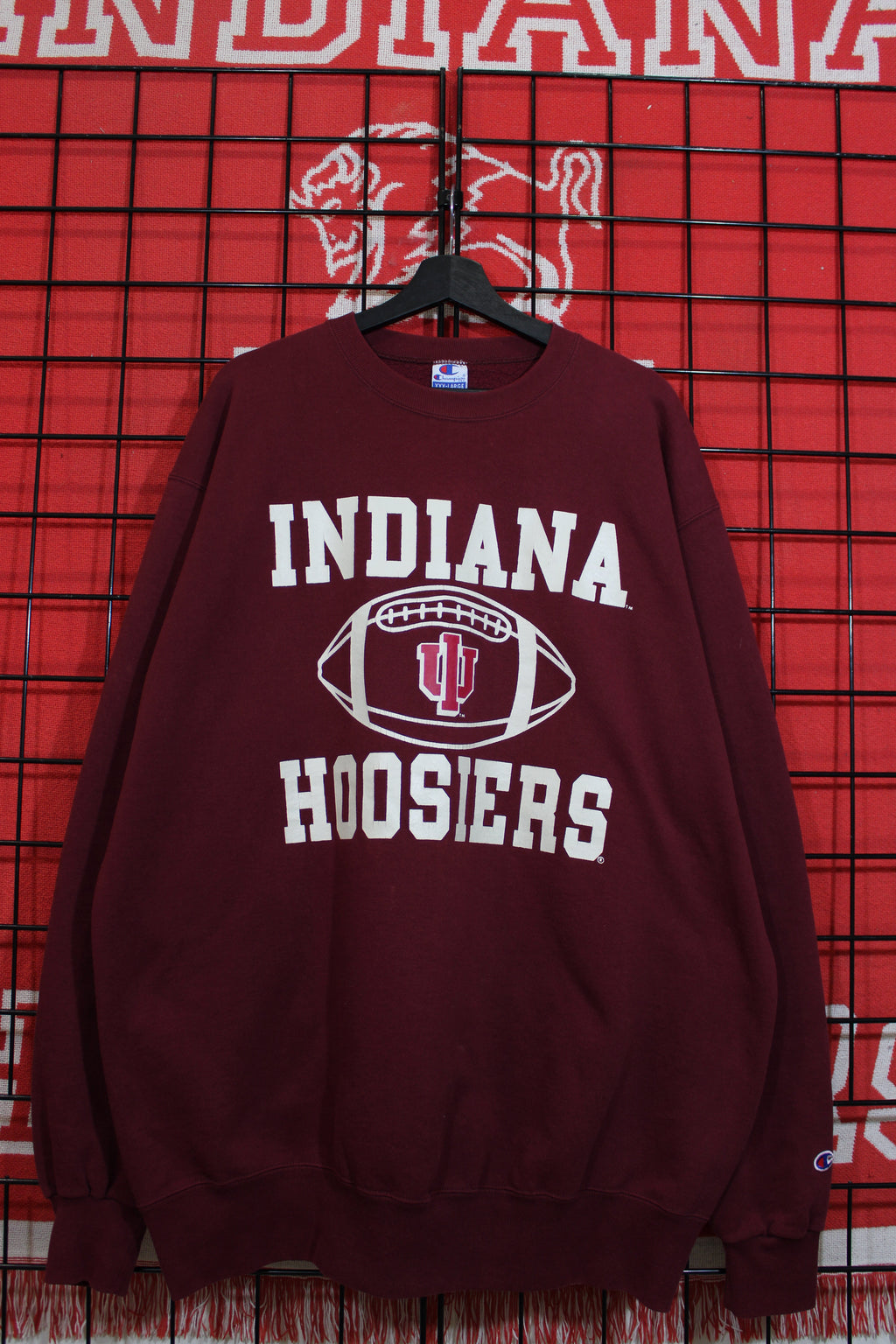iu1026304a.jpg