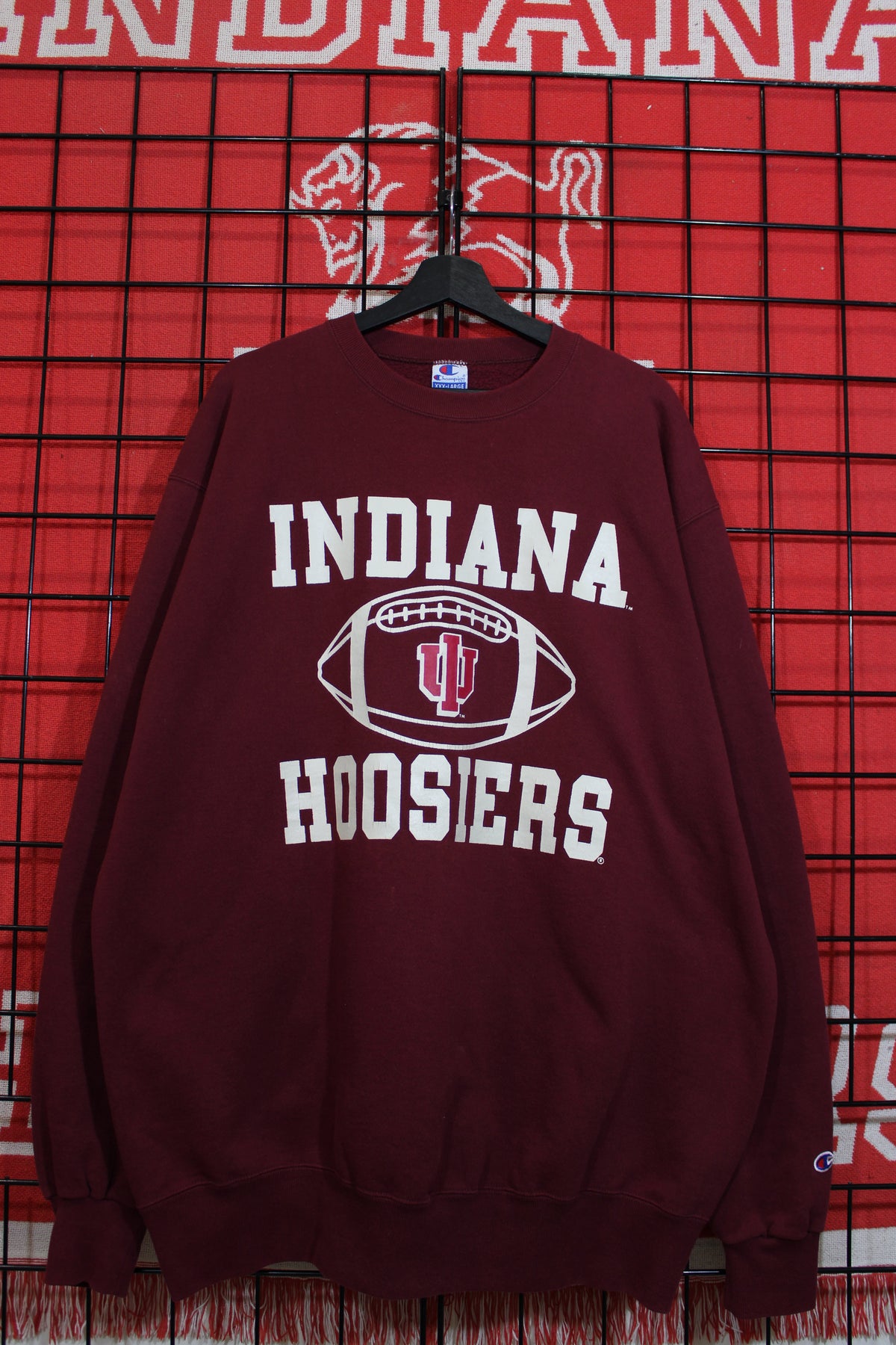 iu1026304a.jpg