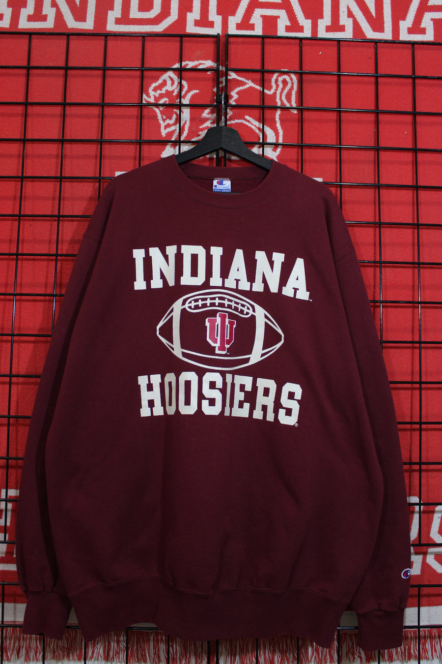 iu1026304a.jpg