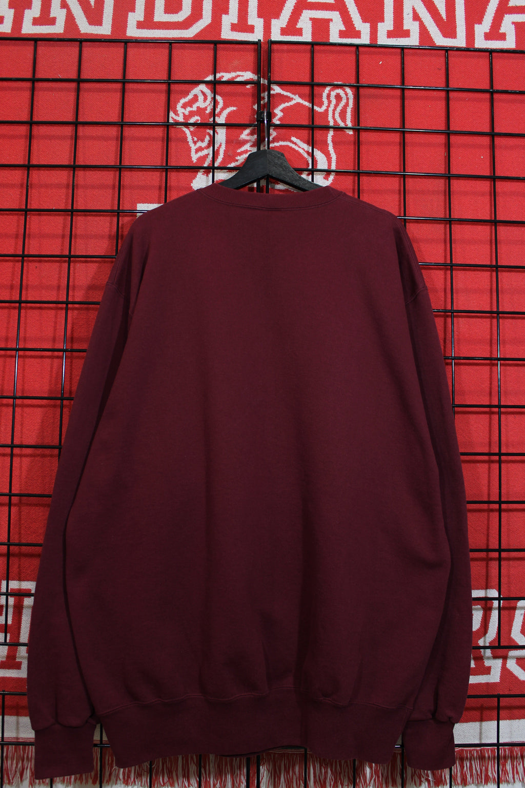 iu1026304b.jpg
