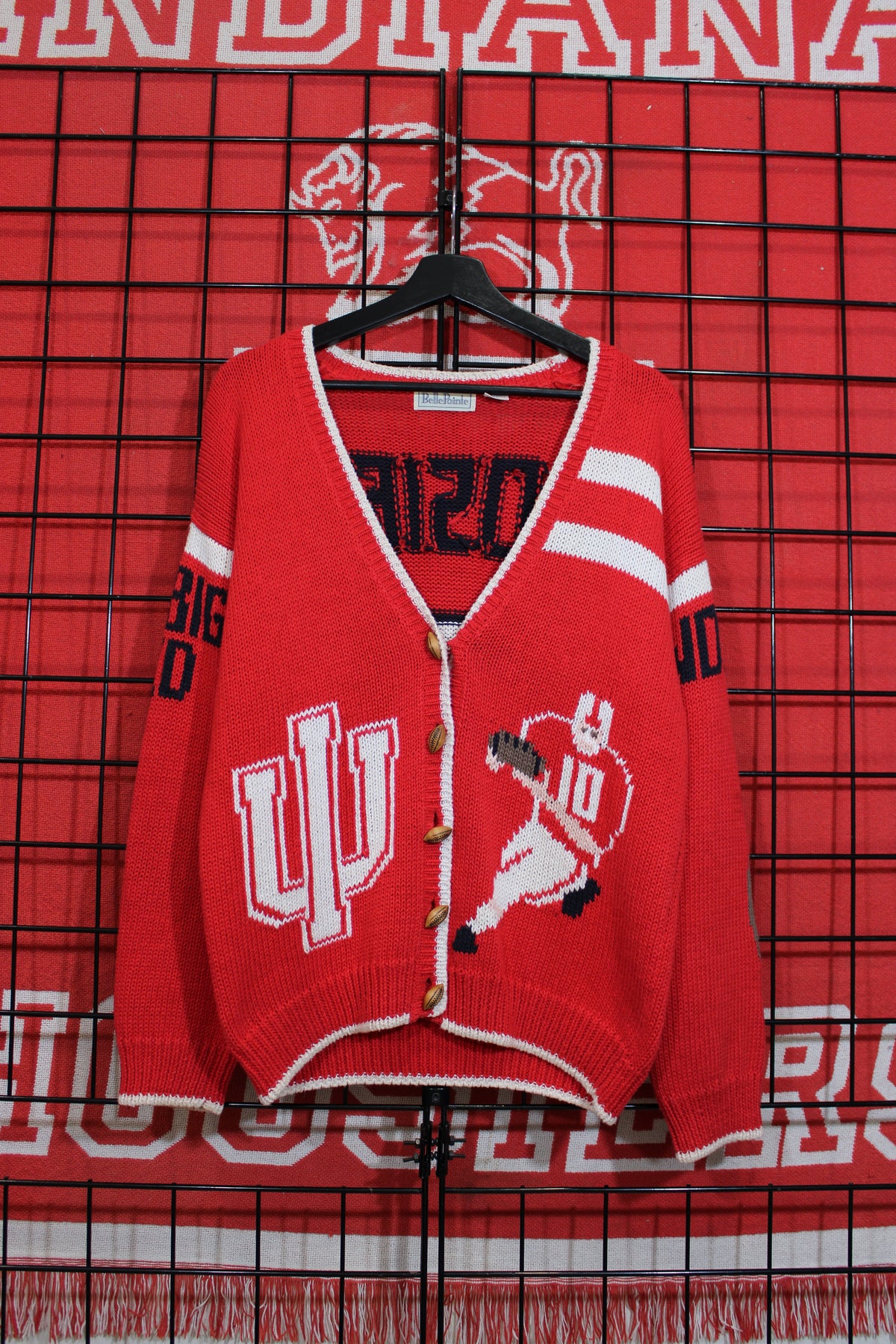iu1026305a.jpg