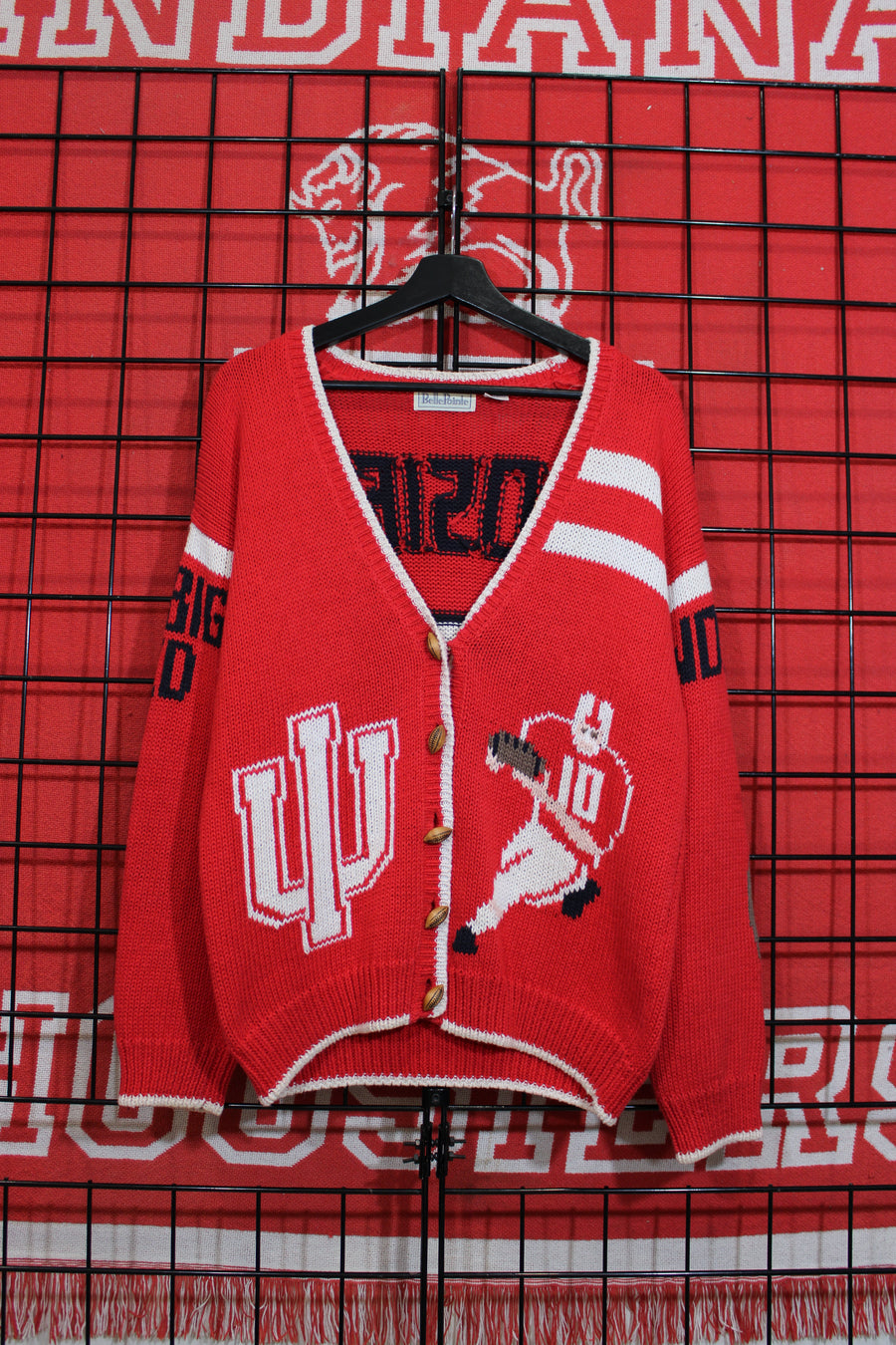 iu1026305a.jpg