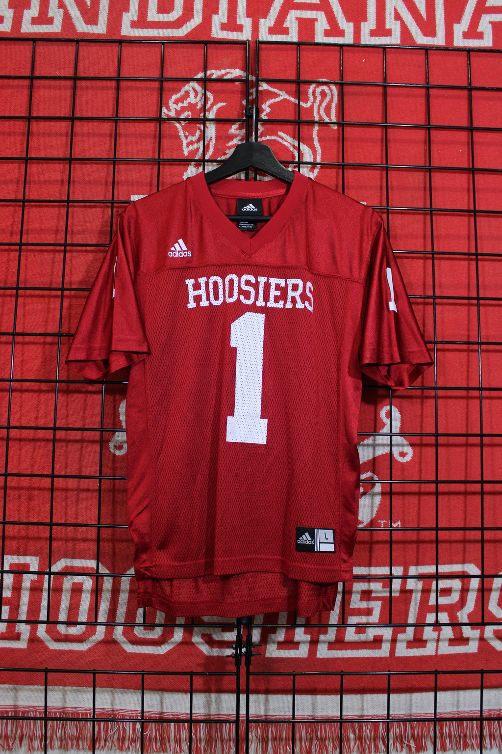 iu1026307a.jpg