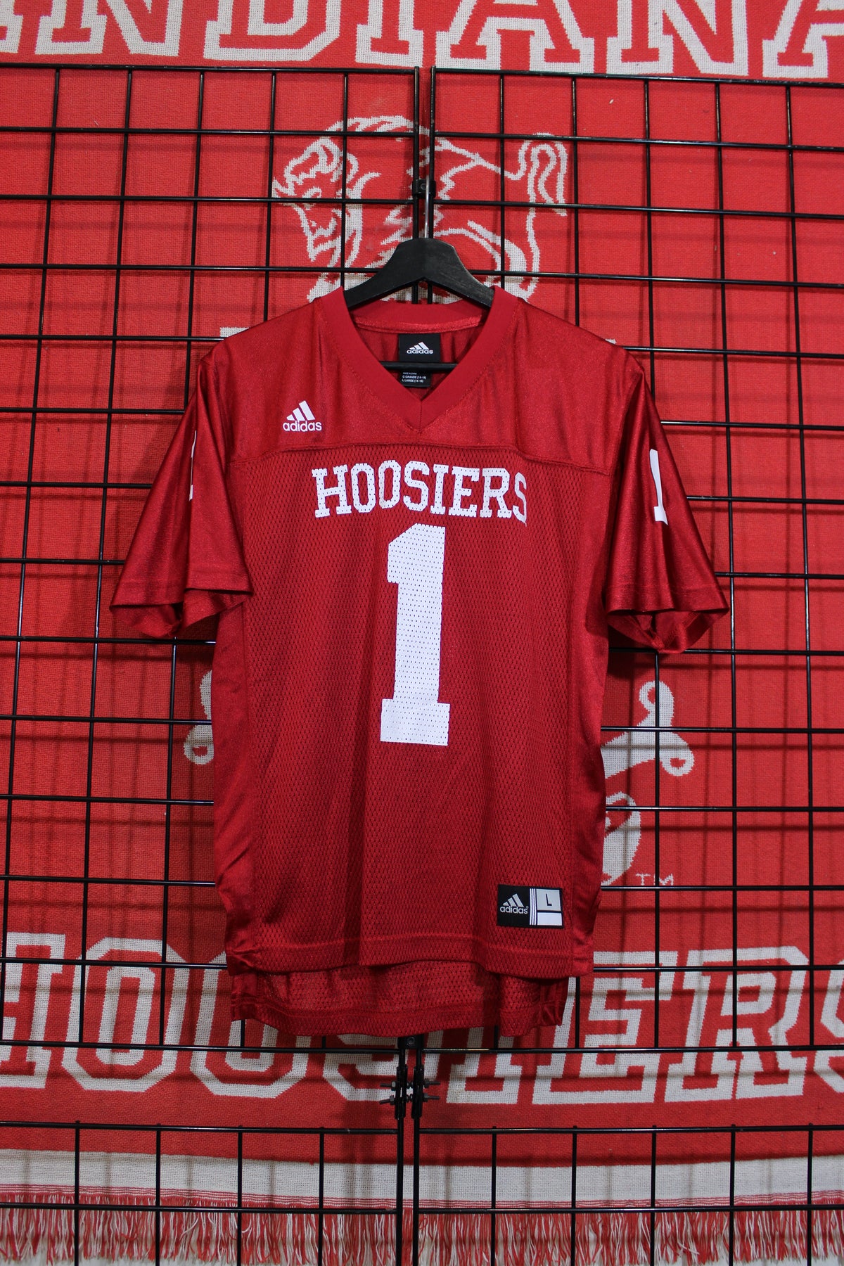 iu1026307a.jpg