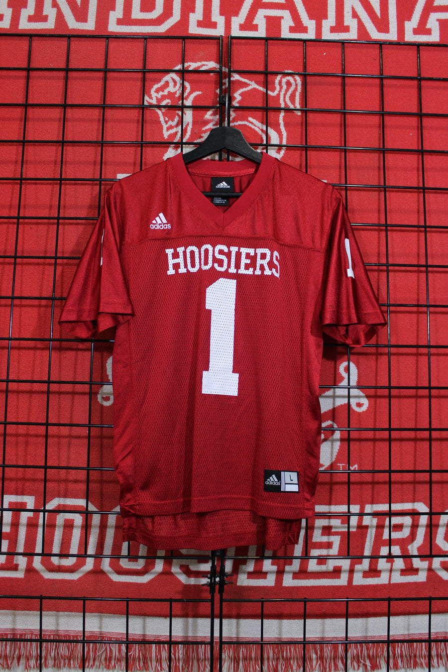 iu1026307a.jpg