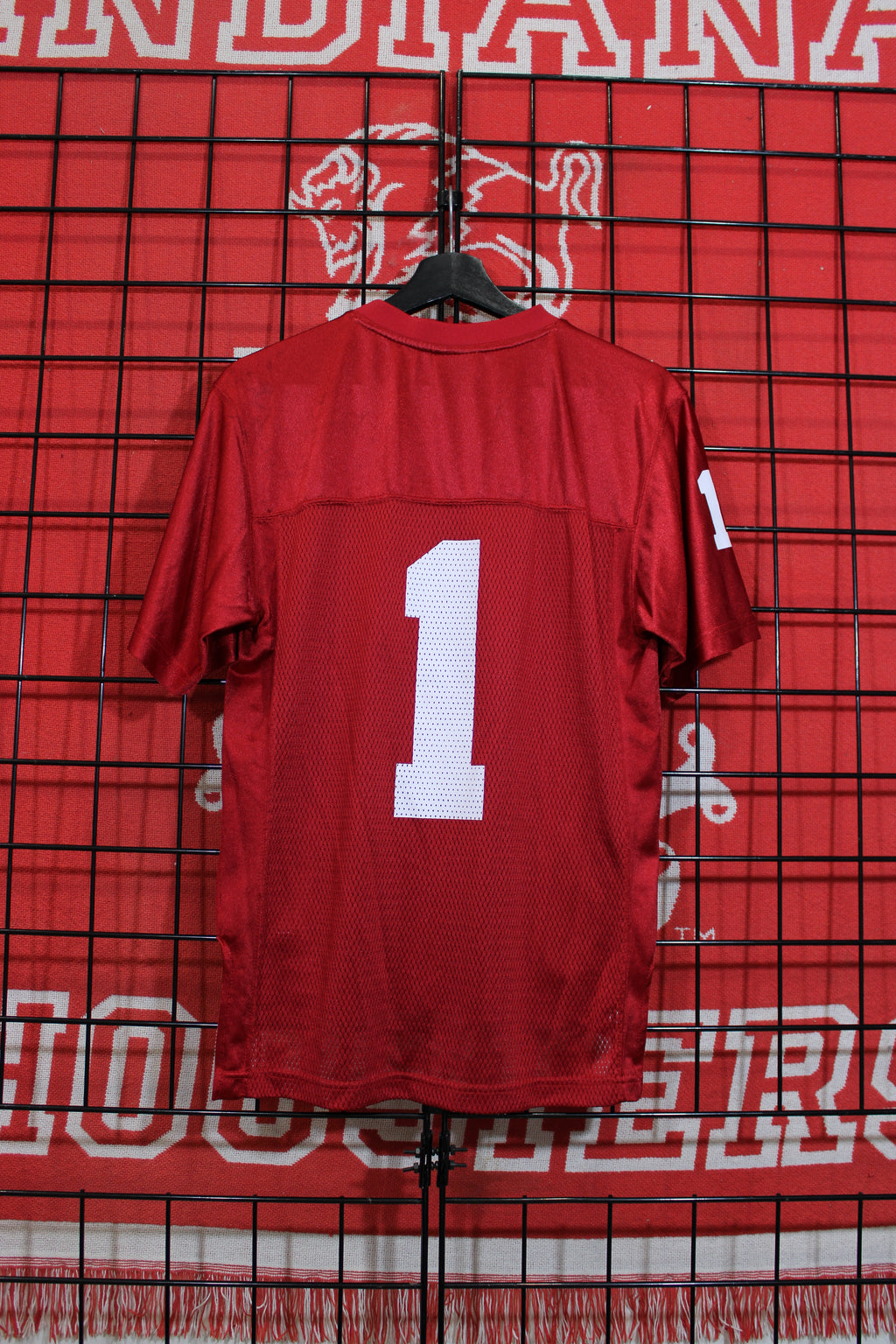 iu1026307b.jpg