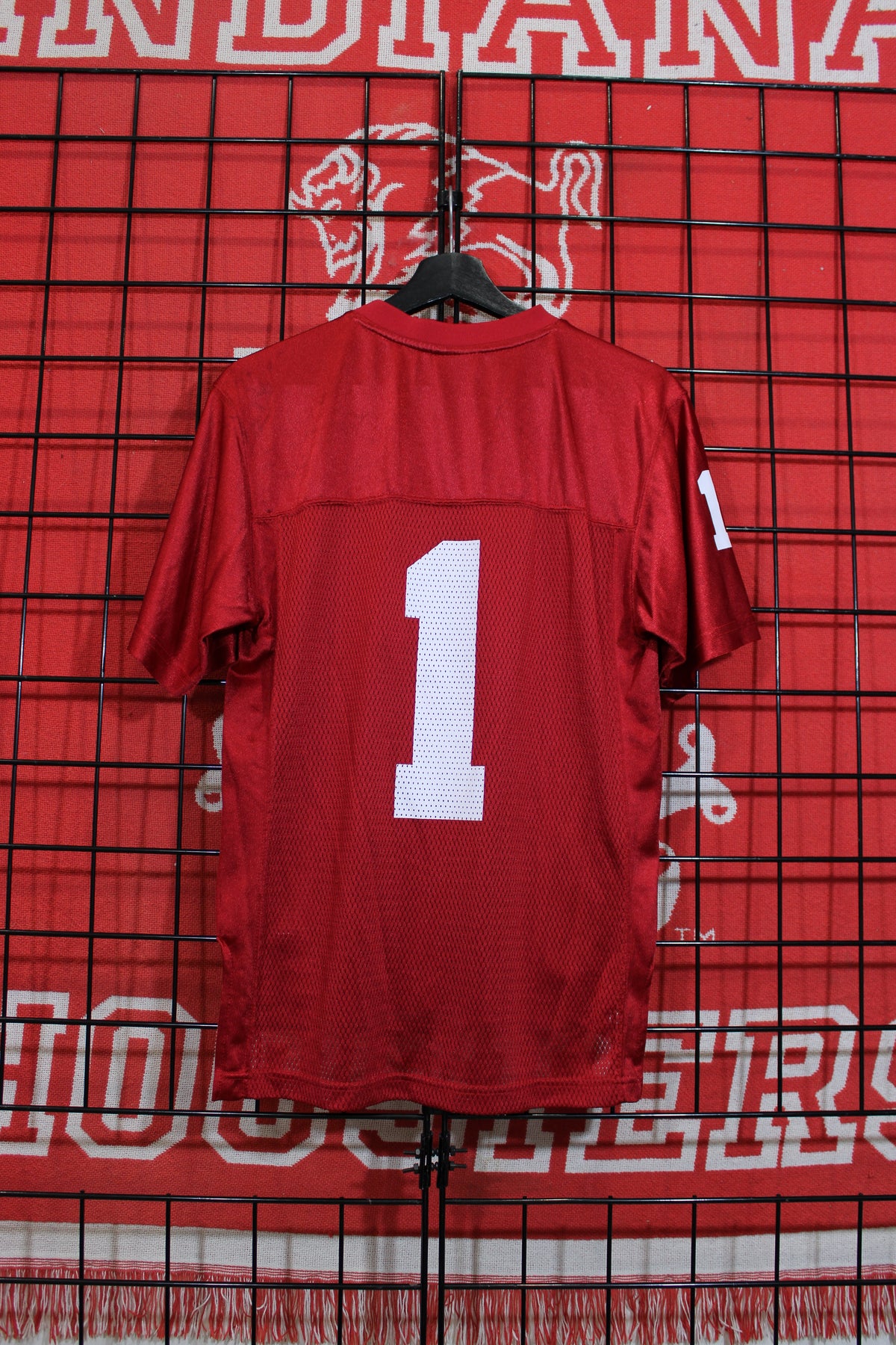 iu1026307b.jpg
