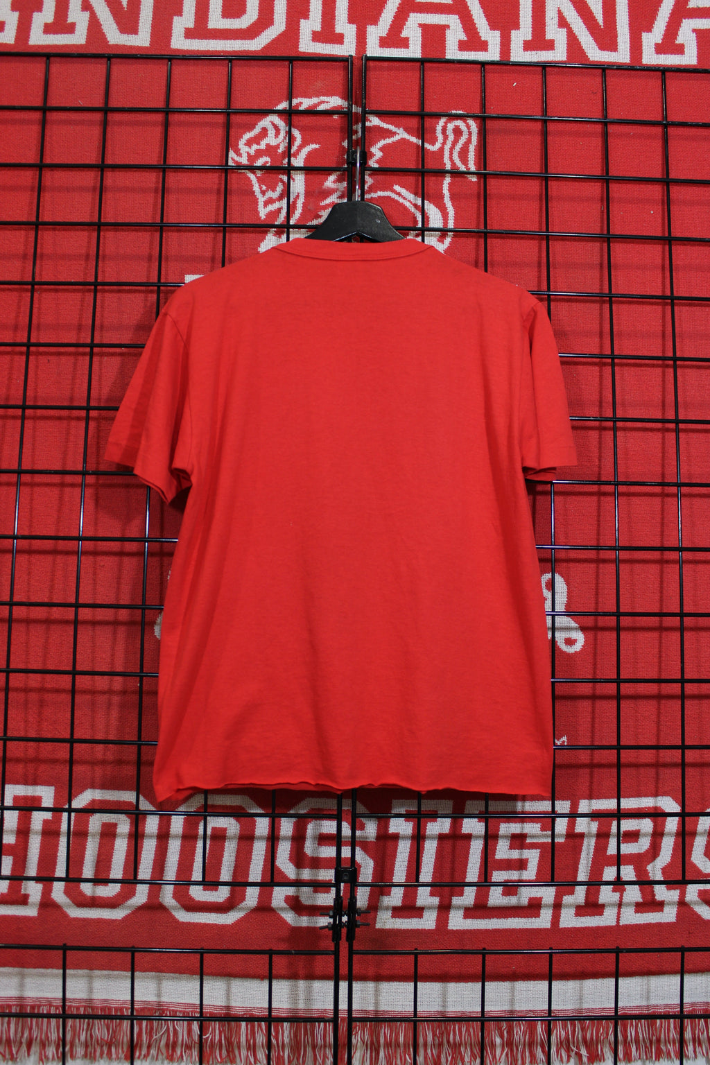 iu1026313b.jpg