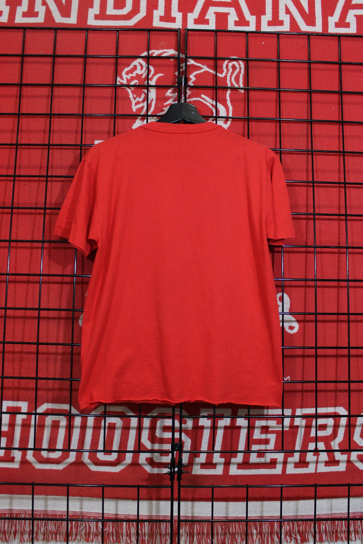 iu1026313b.jpg